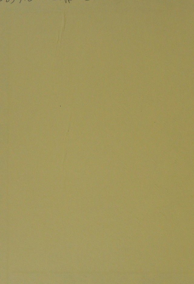 digitised image 2