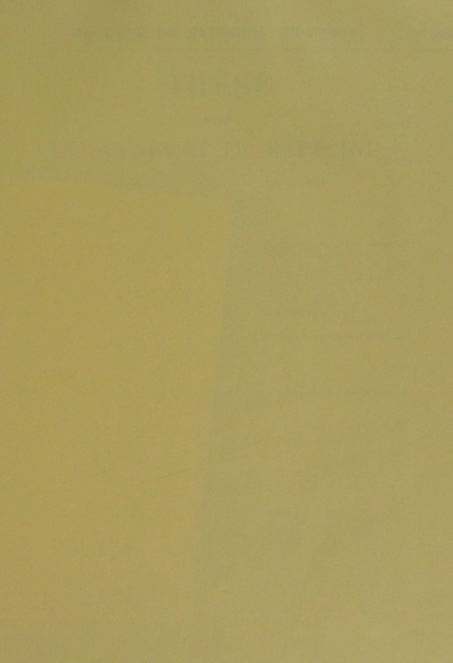digitised image 3