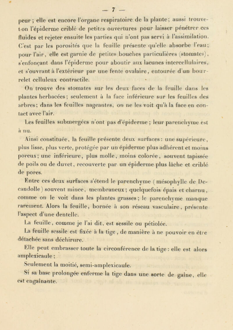 peur ; elle est encore l’organe respiratoire de la plante; aussi trouve- t-on l’épiderme criblé de petites ouvertures pour laisser pénétrer ces Fluides et rejeter ensuite les parties qui n’ont pas servi à l’assimilation. C/est par les porosités que la feuille présente qu’elle absorbe l’eau; pour l’air, elle est garnie de petites bouches particulières (stomates), s’enfonçant dans l’épiderme pour aboutir aux lacunes intercellulaires, et s’ouvrant à l’extérieur par une fente ovalaire, entourée d’un bour- relet celluleux contractile. On trouve des stomates sur les deux faces de la feuille dans les plantes herbacées; seulement à la face inférieure sur les feuilles des arbres; dans les feuilles nageantes, on ne les voit qu’à la face en con- tact avec l’air. Les feuilles submergées n’ont pas d’épiderme ; leur parenchyme est à nu. Ainsi constituée, la feuille présente deux surfaces: une supérieure, plus lisse, plus verte, protégée par un épiderme plus adhérent et moins poreux; une inférieure, plus molle, moins colorée, souvent tapissée de poils ou de duvet, recouverte par un épiderme plus lâche et criblé de pores. Entre ces deux surfaces s’étend le parenchyme (mésophylle de De- candolle) souvent mince, membraneux; quelquefois épais et charnu, comme on le voit dans les plantes grasses ; le parenchyme manque rarement. Alors la feuille, bornée à son réseau vasculaire, présente l’aspect d’une dentelle. La feuille, comme je l’ai dit, est sessile ou pétiolée. La feuille sessile est fixee a la tige , de manière à ne pouvoir en être détachée sans déchirure. Elle peut embrasser toute la circonférence de la tige : elle est alors amplexicaule ; Seulement la moitié, semi-amplexicaule. Si sa base prolongée enferme la tige dans une sorte de gaine, elle est engainante.