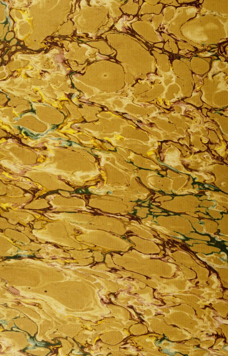 No text description is available for this image