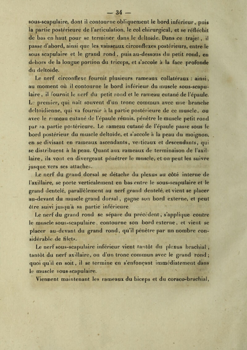 sous-scapulaire, dont il contourne obliquement le bord inférieur, puis la partie postérieure de l’articulation, le col chirurgical, et se réfléchit de bas en haut pour se terminer dans le deltoïde. Dans ce trajet , il passe d’abord, ainsi que les vaisseaux circonflexes postérieurs, entre le sous scapulaire et le grand rond, puis au-dessous du petit rond, en dehors de la longue portion du triceps, et s’accole à la face profonde du deltoïde. Le nerf circonflexe fournit plusieurs rameaux collatéraux : ainsi, au moment où il contourne le bord inférieur du muscle sous-scapu- laire, il fournit le nerf du petit rond et le rameau cutané de l’épaule. L premier, qui naît souvent d’un tronc commun avec une branche deltoïdienne, qui va fournir à la partie postérieure de ce muscle, ou avec le rameau cutané de l’épaule réunis, pénètre le musele petit rond par sa partie postérieure. Le rameau cutané de l’épaule passe sous le bord postérieur du muscle deltoïde, et s’accole à la peau du moignon, en se divisant en rameaux ascendants, verticaux et descendants, qui se distribuent à la peau. Quant aux rameaux de terminaison de l’axil- laire, ils vont en divergeant pénétrer le muscle, et on peut les suivre jusque vers ses attaches. Le nerf du grand dorsal se détache du plexus au côté interne de l’axillaire, se porte verticalement en bas entre le sous-scapulaire et le grand dentelé, parallèlement au nerf grand dentelé, et vient se placer au-devant du muscle grand dorsal , gagne son bord externe, et peut être suivi jusqu’à sa partie inférieure Le nerf du grand rond se sépare du précédent, s’applique contre le muscle sous-scapulaire, contourne son bord externe, et vient se placer au-devant du grand rond, qu’il pénètre par un nombre con- sidérable de blets. Le nerf sous-scapulaire inférieur vient tantôt du plexus brachial, tantôt du nerf axillaire, ou d’un tronc commun avec le grand rond ; quoi qu’il en soit, il se termine en s’enfonçant immédiatement dans le muscle sous scapulaire. Viennent maintenant les rameaux du biceps et du coraeo-brachial,