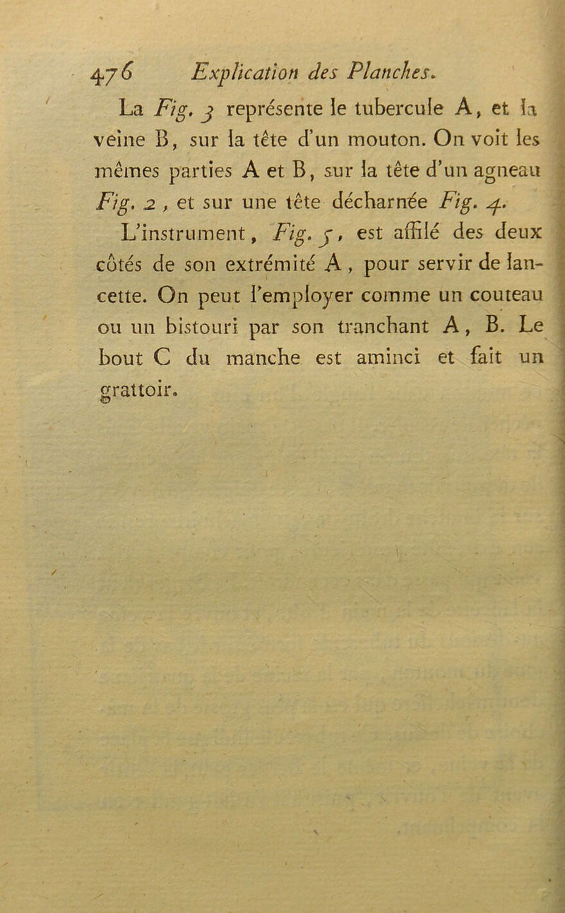 La Fig. j représente le tubercule A, et la veine B, sur la tête d’un mouton. On voit les mêmes parties A et B, sur la tête d’un agneau Fig. 2 , et sur une tête décharnée Fig. 4.. L’instrument, Fig. 5, est affilé des deux cotés de son extrémité A , pour servir de lan- cette. On peut l’employer comme un couteau ou un bistouri par son tranchant A, B. Le bout C du manche est aminci et fait un grattoir. O