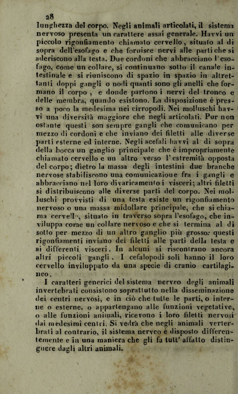 lunghezza del corpo. Negli animali articolati, il sistema nervoso presenta un carattere assai generale. Havvi un piccolo rigonfiamento chiamato cervello, situalo al di sopra dell’esofago e che fornisce nervi alle parti che si aderiscono alla testa. Due cordoni che abbracciano l’eso- fago, come un collare, si continuano sotto il canale in- testinale e si riuniscono di spazio in spazio in altret- tanti doppi gangli o nodi quanti sono gli anelli che for- mano il corpo , e donde partono i nervi del tronco e delle membra, quando esistono. La disposizione è pres- so a poco la medesima nei cirropodi. Nei molluschi hav- vi una diversità maggiore che negli articolati. Pur non ost;mte questi son sempre gangli che comunicano per mezzo di cordoni e che inviano dei filetti alle diverse parti esterne ed interne. Negli acefali havvi al di sopra «Iella bocca un ganglio principale che è impropriamente chiamato cervello e un altro verso V estremità opposti» del corpo ; dietro la massa degli intestini due branche nervose stabiliscono una comunicazioue fra i gangli e abbracciano nel loro divaricamento i visceri; altri filetti si distribuiscono alle diverse parti del corpo. Nei mol- luschi provvisti di una testa esiste un rigonfiamento nervoso o una massa midollare principale, che si chia- ma cervelli, situato in traverso sopra l’esofago, che in- viluppa come un collare nervoso e che si termina al di sotto per mezzo di un altro ganglio più grosso: questi rigonfiamenti inviano dei filetti alle parti della lesta e ai differenti visceri. In alcuni si riscontrano ancora altri piccoli gangli . I cefalopodi soli hanno il loro cervello inviluppato da una specie di cranio cartilagi- neo. I caratteri generici del sistema nerveo degli animali invertebrati consistono soprattutto nella disseminazione dei centri nervosi, e in ciò che tutte le parti, o inter- ne o esterne, o appartengano alle funzioni vegetative, o alle funzioni animali, ricevono i loro filetti nervosi dai medesimi centri. Si vedrà che negli animali verler- brati al contrario, il sistema nerveo è disposto differen- temente e in una maniera che gli fa lult' affatto distin- guere dagli altri animali.