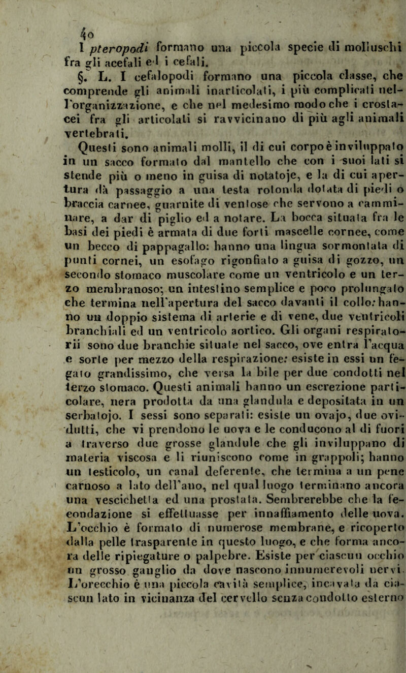 4» I pteropodì formano una piccola specie ili moli usciii fra gli acefali e l i cefali. §. L. I cefalopodi formano una piccola classe, che comprende gli animali inarticolati, i più Complicati nel- l'organizzazione, e che nel medesimo modo che i crosta- cei fra gli articolati si ravvicinano di più agli animali vertebrali. Questi sono animali molli, il di cui corpo è inviluppato in un sacco formato dal mantello che con i suoi lati si stende più o meno in guisa di notatoje, e la di cui aper- tura dà passaggio a una testa rotonda dotata di piedi o braccia carnee, guarnite di ventose che servono a cammi- nare, a dar di piglio ed a notare. La bocca situala fra le basi dei piedi è armata di due forti mascelle cornee, come un becco di pappagallo: hanno una lingua sormontata di punti cornei, un esofago rigonfiato a guisa di gozzo, un secondo stomaco muscolare come un ventricolo e un ter- zo membranoso; un intestino semplice e poco prolungato che termina nell'apertura del sacco davanti il collo:han- no un doppio sistema di arterie e di vene, due ventricoli branchiali ed un ventricolo aortico. Gli organi respirato- ri sono due branchie situale nel sacco, ove entra l'acqua e sorte per mezzo della respirazione: esiste in essi un fe- gato grandissimo, che versa la bile per due condotti nel terzo stomaco. Questi animali hanno un escrezione parti- colare, nera prodotta da una gianduia e depositata in un serbatojo. I sessi sono separati: esiste un ovajo, due ovi- dutti, che vi prendono le uova e le conducono al di fuori a traverso due grosse glandule che gli inviluppano dì materia viscosa e li riuniscono come in grappoli; hanno un testicolo, un canal deferente, che termina a un pene carnoso a lato delibano, nel qual luogo terminano ancora una vescichetta ed una prostata. Sembrerebbe che la fe- condazione si effettuasse per innaffiamento delle uova. L’occhio è formato di numerose membrane, e ricoperto dalla pelle trasparente in questo luogo, e che forma anco- ra delle ripiegature o palpebre. Esiste per ciascun occhio un grosso ganglio da dove nascono innumerevoli nervi L’orecchio è una piccola cavila semplice, incavata da cia- scun lato in vicinanza del cervello senza condotto esterno