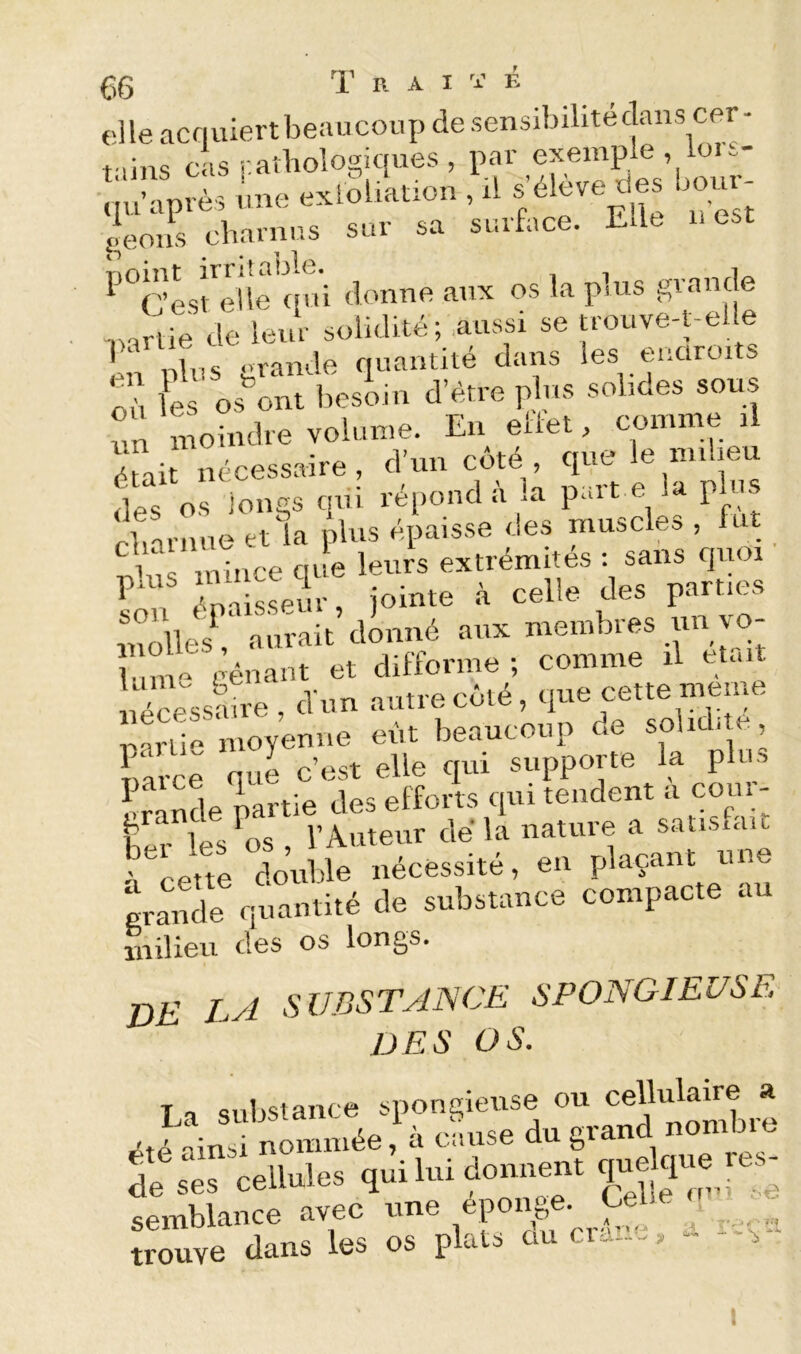 elle acquiert beaucoup de sensibilitéclaus cer- f.ins cas ratbologiques, par exemple , lois- feous charnus sui sa si.uacc. j-- ^^^rlsreileVrni donne aux os la plus grande ,,arlie de leur solidité ; .aussi se trouve-t-eUe èn plus grande quantité dans les enciroi Z les o,^ont besoin d'ètre plus solides sous un moindre volume. En etiet, comme il était nécessaire, d’un côté , que le milieu fies os longs qui répond à a part e la plus rbaniue et la plus é.paisse des muscle, , fut V^rmüice que leurs extrémités : sans quoi iolnte .I celle clés p.srMes molles^ aurait donné aux membres un vo- îunm gênant et difforme ; comme il était liéiVssaire , d-im autre côté, que cette nmme rartie moyenne eût beaucoup de solid.te, narce que c’est elle qui supporte la plu. Lande partie des efforts qui tendent a corn - Lr lesLs r Auteur dé la nature a satismu. à cette douille nécessité, en plaçant une Ciua,ni,é de sebsunce compacte au milieu des os longs. DE LA SUBSTAjSCE SPONGIEUSE DES OS. T c cnlvstaiice spongieuse ou cellulaire a nom.née à eSuse do 6™d nombt. Îe “es ccllnlo qoilmdo»™' semblance avec «ne épongé Cebe • trouve dans les os plats au ci..--. - I 'v^ l