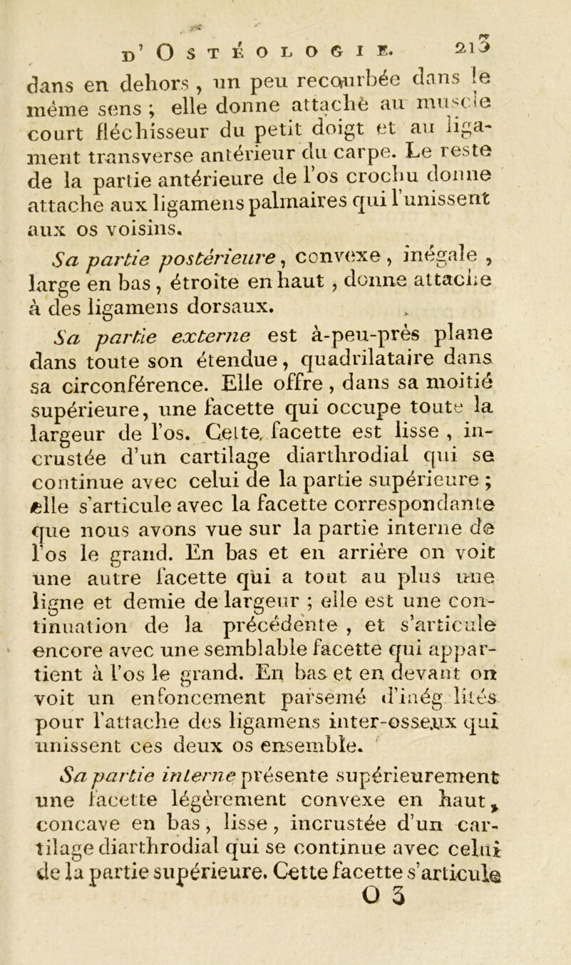 b’Ostéologie. dans en dehors , un peu recourbée dans le meme sens ; elle donne attaché au muscle court fléchisseur du petit doigt et au liga- ment traiisverse antérieur du carpe. Le teste de la partie antérieure de l’os crochu donne attache aux ligamens palmaires qui 1 unissent aux os voisins. Sa partie postérieure^ convexe, inégale , large en bas , étroite en haut , donne attache à des ligamens dorsaux. Sa partie externe est à-peu-près plane dans toute son étendue, quadrilataire dans sa circonférence. Elle offre, dans sa moitié supérieure, une facette qui occupe toute la largeur de l’os. Celte, facette est lisse , in- crustée d’un cartilage diarthrodial qui se continue avec celui de la partie supérieure ; /elle s’articule avec la facette correspondante que nous avons vue sur la partie interne de l’os le grand. En bas et en arrière on voit une autre facette qui a tout au plus une ligne et demie de largeur ; elle est une con- tinuation de la précédente , et s’articule encore avec une semblable facette fjui appar- tient à l’os le grand. En bas et en devant on voit un enfoncement parsemé ifinég lités pour l’attache des ligamens inter-osse.ux qui unissent ces deux os ensemble. Sa partie inlerne présente supérieurement une facette légèrement convexe en haut^ concave en bas , lisse , incrustée d’un car- tilage diarthrodial qui se continue avec celui de la partie supérieure. Cette facette s’articute