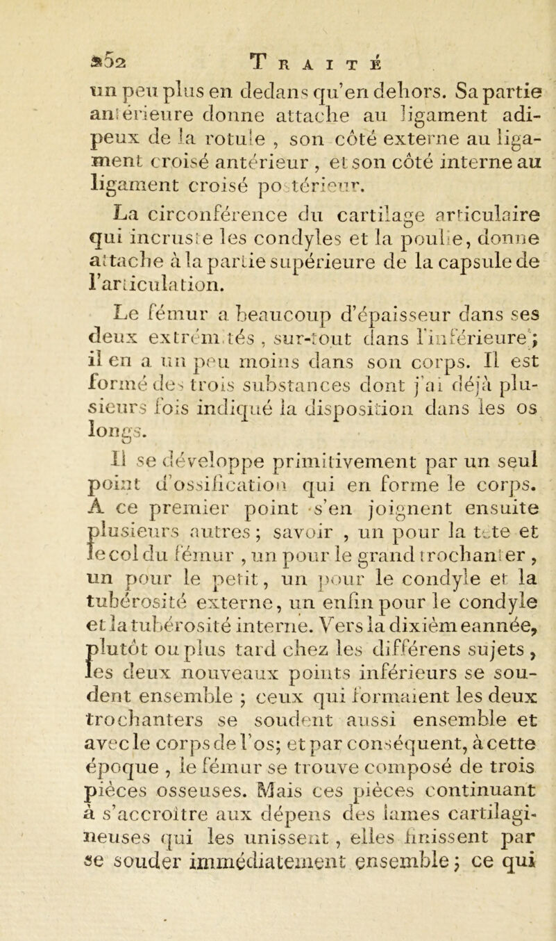 mi peu plus en dedans qu’en dehors. Sa partie aiilërieiire donne attache au ligament adi- peux de la rotule , son côté externe au liga- ment croisé antérieur , et son côté interne au ligament croisé postérieur. La circonférence du cartilage articulaire qui incrusîe les condyles et la poulie, donne aîtaclïe à la partie supérieure de la capsule de rarLicuiation. Le fémur a beaucoup d’épaisseur dans ses deux extrem.tés , sur-tout dans l’inférieure’; il en a un peu moins dans son corps. Il est formé de> trois substances dont j’ai déjà plu- sieurs lois indiqué la disposition dans les os longs. 11 se développe primitivement par un seul point d’ossilication qui en forme le corps. A ce premier point -s’en joignent ensuite f)lusieurs autres ; savoir , un pour la tete et ecol du fémur , un pour le grand trochanter , un pour le petit, un ])Our le coiidyle et la tubérosité externe, un enfin pour le condyle et la tubérosité interne. Vers la dixièmeannée, fdutôt ou plus tard chez les différens sujets , es deux nouveaux points inférieurs se sou- dent ensemble ; ceux qui formaient les deux trochanters se sondent aussi ensemble et avec le corps de l’os; et par conséquent, à cette époque , le fémur se trouve composé de trois pièces osseuses. Mais ces pièces continuant à s’accroître aux dépens des lames cartilagi- neuses (]ui les unissent, elles iinissent par se souder immédiatement ensemble ; ce qui