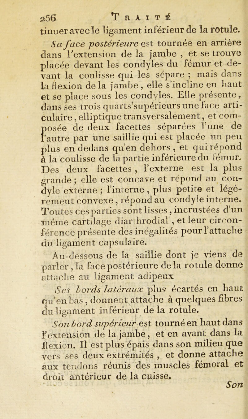 tinueravecle ligament inférieur de la rotule. Sa face postérieure est tournée en arrière dans Textension de la jambe , et se trouve placée devant les condyles du fémur et de- vant la coulisse qui les sépare ; mais dans la flexion de la jambe , elle s’incline en haut et se place sous les condyles. Elle présente, dans ses trois quarts’supérieurs une face arti- culaire 5 elliptique transversalement, et coin- f)Osée de deux facettes séparées l’une de ’autre par une saillie qui est placée un peu plus en dedans qu’en dehors , et qui répond à la coulisse de la partie inférieure du fémur. Des deux facettes , l’externe est la plus io;rande ; elle est concave et répond au con- dyle externe ; Tinî erne , plus petite et légè- rement convexe, répond au condyle interne. Toutes ces parties sont lisses , incrustées d’un même cartilage diarihrodial , et leur circon- férence présente des inégalités pour l’attache du ligament capsulaire. Au-dessous de la saillie dont je viens de parler, la face postérieure de la rotule donne attache au ligament adipeux Ses horcls latéraux plus écartés en haut qu’en ])as , donnent attache à quelques fibres du ligament inférieur de la rotule. Son bord supérieur tourné en haut dans Textension de la jambe, et en avant dans la flexion. Il est plus épais dans son milieu qtie vers ses deux extrémités , et donne attache aux tendons réunis des muscles fémoral et droit antéî'ieur de la cuisse. Son