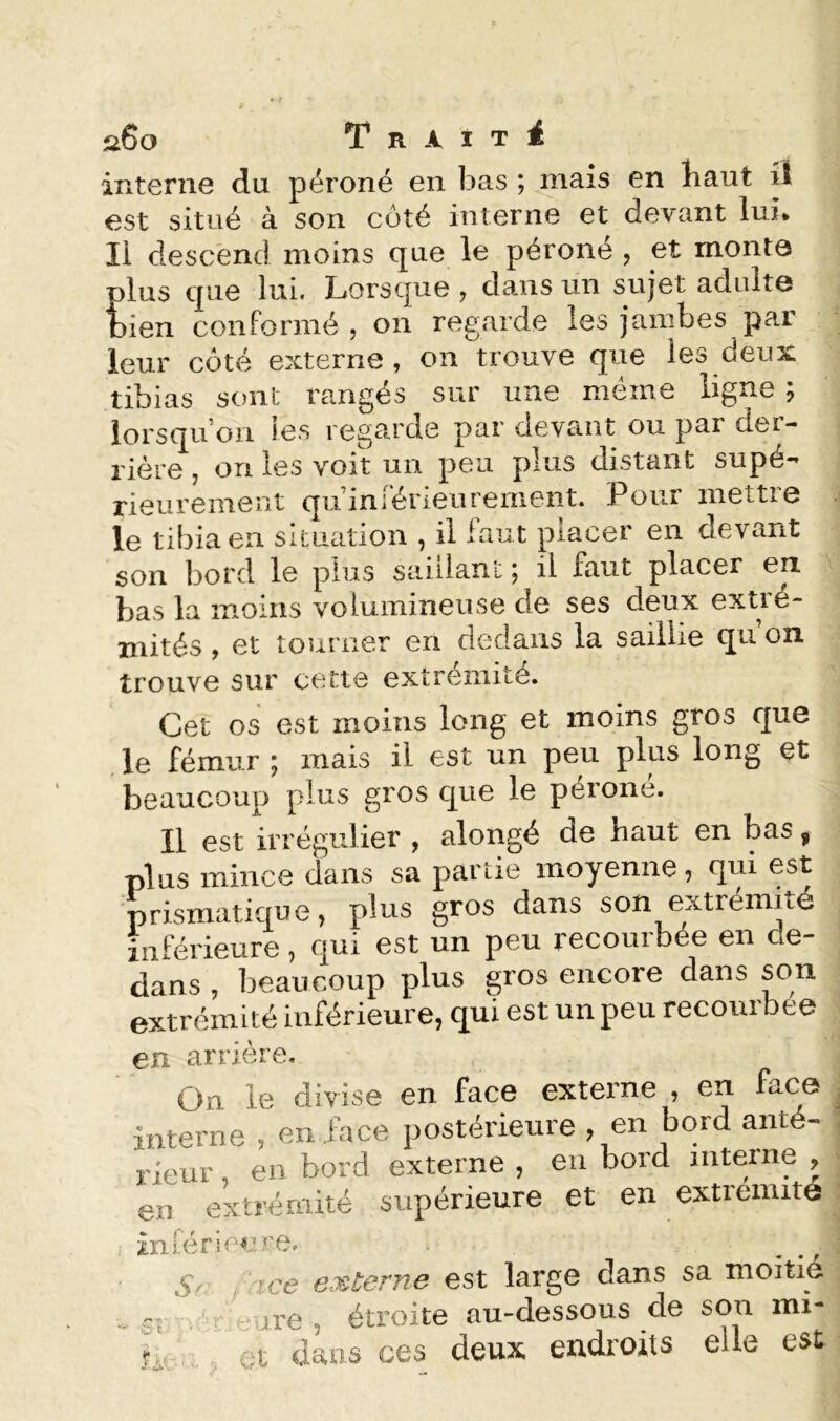 s6o T R X I T i interne du péroné en bas ; mais en haut il est situé à son côté interne et devant lui* Il descend moins que le péroné , et monte plus que lui. Lorsque , dans un sujet adulte bien conformé , on regarde les jambes par leur côté externe, on trouve que les deux tibias sont rangés sur une meme ligne ; lorsqu’on ies regarde par devant ou par dei- rière , on les voit un peu plus distant supé- rieurement qu’iniérieurement. Pour mettre le tibia en situation , il faut placer en devant son bord le plus saillant ; il faut placer en bas la moins volumineuse de ses deux extié- mités , et tourner en dedans la saillie qu on trouve sur cette extrémité. Cet os est moins long et moins gros que le fémur ; mais il est un peu plus long et beaucoup plus gros que le péroné. Il est irrégulier , alongé de haut en bas ^ plus mince dans sa partie moyenne, qui est prismatique, plus gros dans son extrémité inférieure, qui est un peu recourbée en de- dans , beaucoup plus gros encore dans son extrémité inférieure, qui est un peu recourbee en arrière. On le divise en face externe , en face interne , en face postérieure , en bord anté- rieur , en bord externe , en bord interne , en extrémité supérieure et en extremite inférieure. S tce externe est large dans sa moitié Cf ire , étroite au-dessous de son mi- ri 01 dans ces deux endi-oits elle est