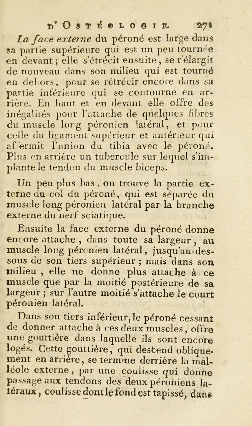 ï)’09T^©iooiî:. 071 La face externe du péroné est large dans sa partie supérieure qui est un peu tournée en devant; elle s’étrécit ensuite, se rélargit de nouveau dans son milieu qui est tourné en dehors, peur se rétrécir encore dans su partie iniérieiire qui se contourne en ar- rière. En liant et en devant elle olfre des inégalités pour l’attache de quelques iiores du muscle long péronien latéral, et pour celle du lipament supérieur et antérieur qui afi'ermit runion du tibia avec le péroné. Plus en arrière un tubercule sur lequel s’im- plante le tendon du muscle biceps. Un peu plus bas , on trouve la partie ex- terne du coi du péroné, qui est séparée du muscle long péronien latéral par la branche externe du nerf sciatique. Ensuite la face externe du péroné donne encore attache , dans toute sa largeur, au muscle long péronien latéral, jusqu’au-des- sous de son tiers supérieur ; mais dans son milieu , elle ne donne plus attache à ce muscle que par la moitié postérieure de sa largeur ; sur lautre moitié s’attache le court péronien latéral. Dans son tiers inférieur, le péroné cessant de donner attache à ces deux muscles , offre une gouttière dans laquelle ils sont encore logés. Cette gouttière, qui desbend oblique- ment en arrière, se termine derrière la mal- léole externe , par une coulisse qui donne passage aux tendons des deux pérohiens la- téraux, coulissedontlçfondest tapissé, dans