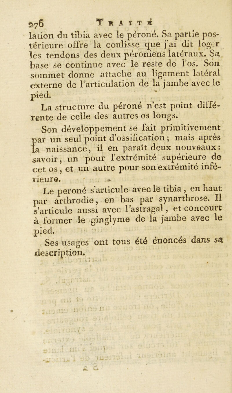 pr;S T H A I T K lation du tibia avec le péroné. Sa partie pos- térieure offre la coulisse que j’ai dit loger les tendons des deux péroniens latéraux. Sa_ base se continue avec le reste de l’os. Son sommet donne attache au ligament latéral externe de larticulation de la jambe avec le pied. La structure du péroné n’est point diffé- rente de celle des autres os longs. Son développement se fait primitivement par un seul point d’ossiiication ; mais après la naissance, il en parait deux nouveaux: savoir, un pour l’extrémité supérieure de cet os , et un autre pour son extrémité infé- rieure. Le péroné s’articule avec le tibia , en haut mr arthrodie, en bas par synarthrose. Il s’articule aussi avec 1 astragal, et concourt à former le ginglyme de la jambe avec le pied. Ses usages ont tous été énoncés dans description.