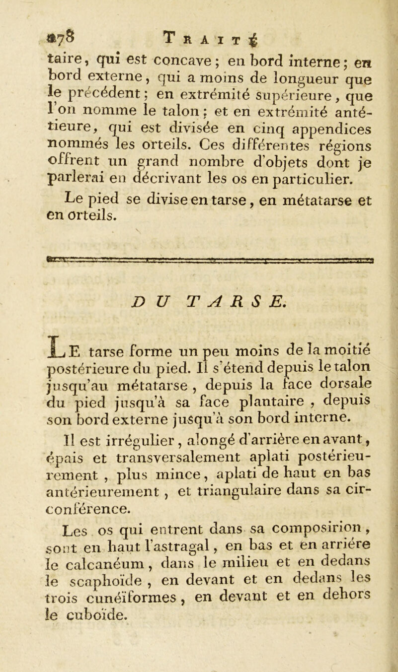 <*78 T R A I T lé taire, qui est concave; en bord interne; en bord externe, qui a moins de longueur que le précédent ; en extrémité supérieure, que l’on nomme le talon ; et en extrémité anté- rieure, qui est divisée en cinq appendices nommés les orteils. Ces différentes régions offrent un grand nombre d’objets dont je parlerai en décrivant les os en particulier. Le pied se divise en tarse, en métatarse et en orteils. DU T A R S Ei T. E tarse forme un peu moins de la moitié postérieure du pied. Il s étend depuis le talon jusqu’au métatarse , depuis la face dorsale du pied jusqu’à sa face plantaire , depuis son bord externe jusqu’à son bord interne. Tl est irrégulier , alongé d’arrière en avant, épais et transversalement aplati postérieu- rement , plus mince, aplati de haut en bas antérieurement , et triangulaire dans sa cir- conférence. Les os qui entrent dans sa composirion, sont en haut l’astragal, en bas et en arriére le calcanéum, dans le milieu et en dedans le scaphoïde , en devant et en dedans les trois cunéiformes , en devant et en dehors le cuboïde.