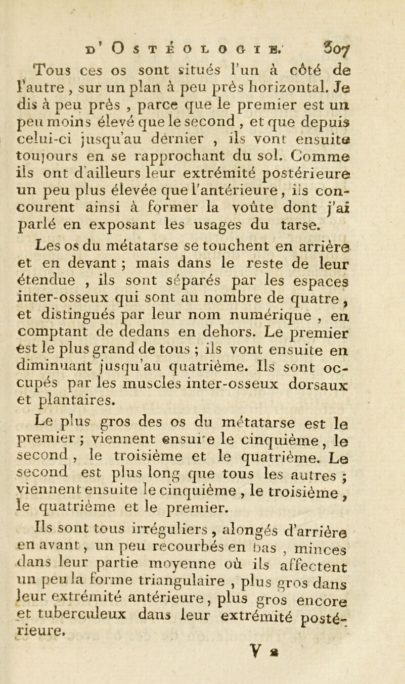 Tous ces os sont situés Tun à côté de l^autre , sur un plan à peu près horizontal. Je dis à peu près , parce que le premier est un peu moins élevé que le second , et que depuis celui-ci jusqu’au dernier , ils vont ensuite toujours en se rapprochant du sol. Comme ils ont d'ailleurs leur extrémité postérieure un peu plus élevée que l'antérieure , iis con- courent ainsi à former la voûte dont j'ai parlé en exposant les usages du tarse. Les os du métatarse se touchent en arriére et en devant ; mais dans le reste de leur étendue , ils sont séparés par les espaces inter-osseux qui sont au nombre de quatre, et distingués par leur nom numérique , en comptant de dedans en dehors. Le premier est le plus grand de tous ; ils vont ensuite en diminuant jusqu’au quatrième. Ils sont oc- cupés par les muscles inter-osseux dorsaux et plantaires. Le plus gros des os du métatarse est le premier ; viennent ensuite le cinquième, le second , le troisième et le quatrième. Le second est plus long que tous les autres ; viennent ensuite le cinquième , le troisième , le quatrième et le premier. Ils sont tous irréguliers , alongés d’arrière en avant, un peu recourbés en bas , minces dans leur partie moyenne où ils affectent un peu la forme triangulaire , plus gros dans leur extrémité antérieure, plus gros encore et tuberculeux dans leur extrémité Dosté- rieure. V *