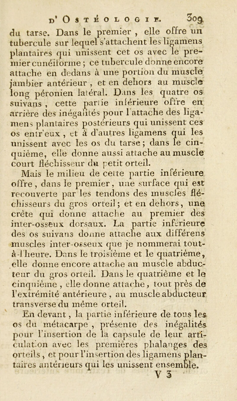 d’Ostéologif. 3oq. du tarse. Dans le premier , elle offre nn tubercule sur lequel s’attachent les ligamens plantaires qui unissent cet os avec le pre- mier cunéiforme ; ce tubercule donne encore attache en dedans à une portion du muscle jambier antérieur , et en dehors au muscle long péronien latéral. Dans les quatre os suivans , cette pariie inférieure offre en arriére des inégalités pour 1 attache des liga- mens plantaires postérieurs qui unissent ces os enir’eux , et à d’autres ligamens qui les unissent avec les os du tarse ; dans le cin- quième, elle donne aussi attache au muscle court fléchisseur du petit orteil. Mais le milieu de cette partie inférieure offre , dans le premier, une surface qui est recouverte par les tendons des muscles flé- chisseurs du aros orteil ; et en dehors, une crête qui donne attache au premier des inter-osseux dorsaux. La partie inférieure des os suivans donne attache aux différens muscles inter-osseux que je nommerai tout- à-l'heure. Dans le troisième et le quatrième^ elle donne encore attache au muscle abduc- teur du gros orteil. Dans le quatrième et le cinquième , elle donne attatdie, tout près de l’extrémité antérieure , au muscle abducteur transverse du même orteil. En devant, la partie inférieure de tons les os du métacarpe , présente des inégalités pour l’insertion de la capsule de leur arti- culation avec les premières phalanges des orteils , et pour l’insertion des ligamens plan- taires antérieurs qui les unissent ensemble.