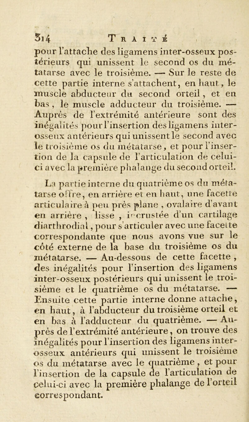 pour l’attaclie des ligamens inter-osseux pos- térieurs qui unissent le second os du mé- tatarse avec le troisième. — Sur le reste de cette partie interne s’attachent, en haut, le muscle abducteur du second orteil, et en bas , le muscle adducteur du troisième. — Auprès de l’extrémité antérieure sont des inégalités pour l’insertion des ligamens inter- osseux antérieurs qui unissent le second avec le troisième os du métatarse, et pour l’inser- tion de la capsule de l’articulation de celui- ci avec la première phalange du second orteil. L:i partie interne du quatrième os du méta- tarse olFre, en arrière et en haut, une facette articulaire à peu près plane , ovalaire d’avant en arrière , lisse , in crustée d’un cartilage diarthrodial, pour s’articuler avec une lacette correspondante que nous avons vue sur le côté externe de la base du troisième os du métatarse. — Au-dessous de cette facette , des inégalités pour l’insertion des ligamens inter-osseux postérieurs qui unissent le .troi- sième et le quatrième os du métatarse. — Ensuite cette partie interne donne attache, en haut, à l’abducteur du troisième orteil et en bas à l’adducteur du quatrième. — Au- près de l’extrémité antérieure, on trouve des inégalités pour l’insertion des ligamens inter- osseux antérieurs qui unissent le troisième os du métatarse avec le quatrième, et pour l’insertion de la capsule de l’articulation de celui-ci avec la première phalange de l’orteil correspondant.