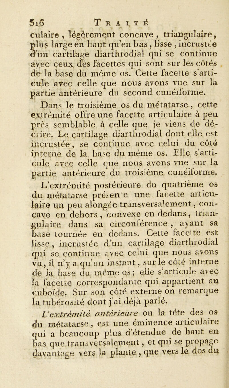 ciliaire , légèrement concave , triangulaire, plus large en haut qu’en bas, lisse , incrustée d’un cartilage diarthrodial qui se continue avec ceux des facettes qui sont sur les côtés de la base du meme os. Cette facette s’arti- cule avec celle que nous avons vue sur la partie antérieure du second cunéiforme. Dans le troisième os du métatarse , cette extrémité offre une facette articulaire à peu près semblable à celle que je viens de dé- crire. Le cartilage diarthrodial dont elle est incrustée, se continue avec celui du côté interne de la base du même os. Elle s’arti- cule avec celle que nous avons vue sur la partie antérieure du troisième cunéiforme. L’extrémité postérieure du quatrième os du métatarse pré^en’e une facette articu- laire un peu alongêe transversalement, con- cave en dehors , convexe en dedans, trian- gulaire dans sa circonférence , ayant sa base tournée en dedans. Cette faceite est lisse, incrusiée d’un cartilage diarthrodial q.ui se continue avec celui que nous avons vu, il n’y a qu’un instant, sur le côté interne de la base du même os; elle s’articule avec la facette correspondante qui appartient au cuboïde. Sur son côté externe on remarque la tubérosité dont j’ai déjà parlé. Vextrémité antérieure ou la tête des os du métatarse, est une éminence articulaire qui a beaucoup plus d’étendue de haut en bas que transversalement, et qui se propage davantage vers la plante , que vers le dos du