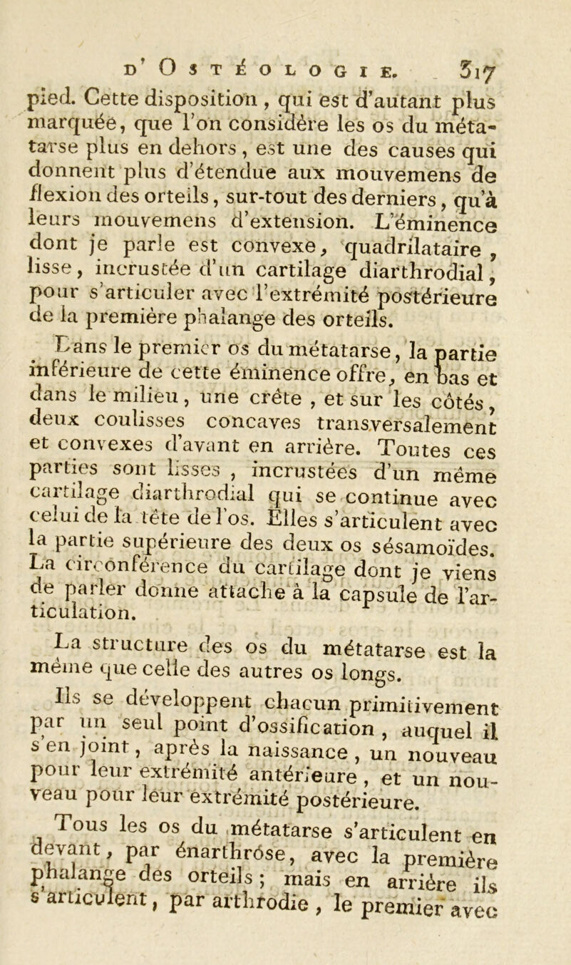 pied. Cette disposition , qui est d’autant plus marquée, que Ton considère les os du méta- tarse plus en dehors , est une des causes qui donnent plus d’étendue aux mouvemens de flexion des orteils, sur-tout des derniers, qu’à leurs mouvemens d’extension. L’éminence dont je parle est convexe^ quadrilataire , lisse, incrustée d’un cartilage diarthrodial, pour s’articuler avec l’extrémité postérieure de la première phalange des orteils. Dans le premier os du métatarse, la partie inférieure de cette éminence offre, en bas et dans le milieu, une crête , et sur les côtés deux coulisses concaves transyersalement et convexes d’avant en arrière. Toutes ces parties sont hsses , incrustées d un meme CcU tilage Ciiarthrodial qui se continue avec celuide la tête de l’os. Elles s’articulent avec la partie supérieure des deux os sésamoïdes. La circonférence du cartilage dont je viens de parler donne attache à la capsule de l’ar- ticulation. La structure des os du métatarse est la même que celle des autres os longs. Ils se développent chacun primiiivement par un seul point d’ossification , aucmel il s en joint, après la naissance , un nouveau pour leur extrémité antérieure, et un nou- veau pour leur extrémité postérieure. 'Tous les os du .métatarse s’articulent en devant, par énarthrése, avec la première phalange des orteils; mais en arriére ils s articulent, par arthrodie , le premier avec