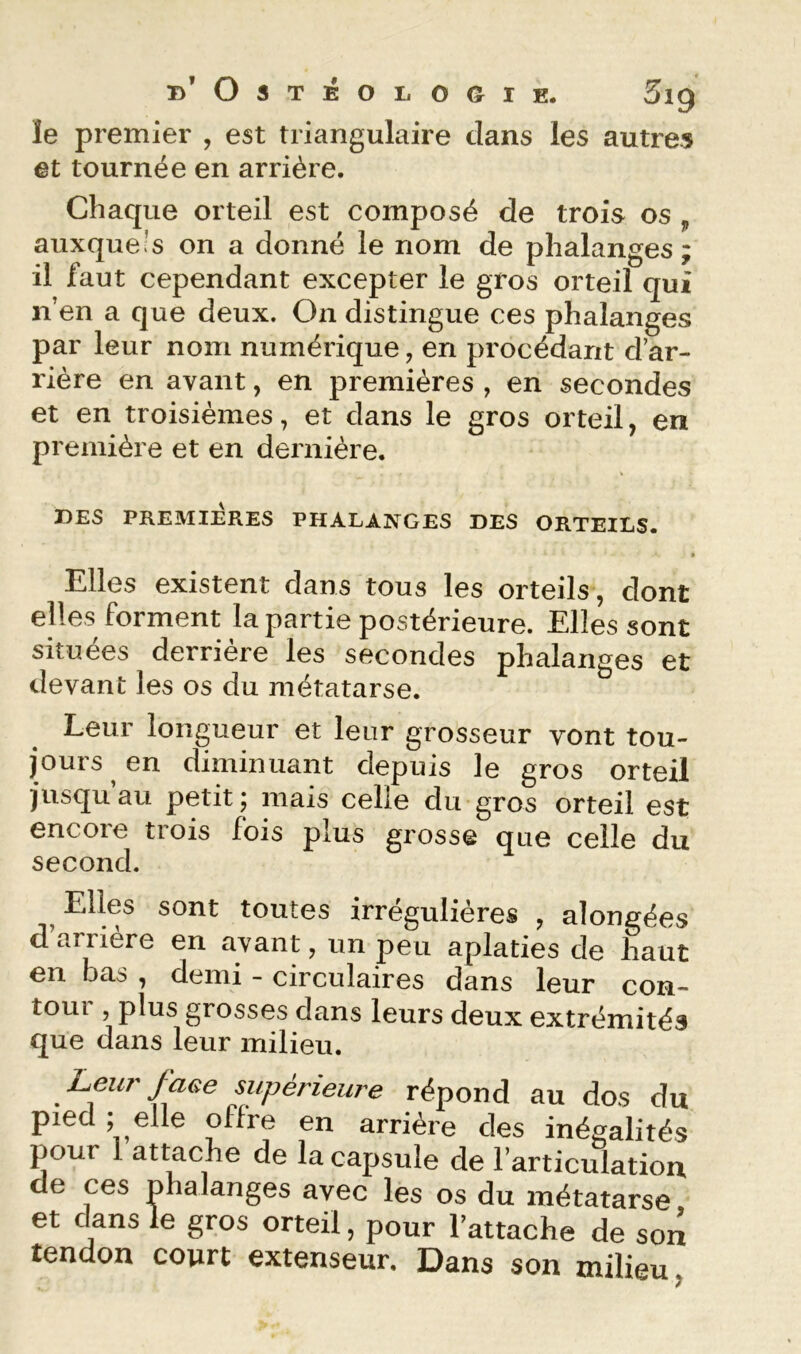 B’OsTÉOIiOOlE. 5ig le premier , est triangulaire dans les autres et tournée en arrière. Chaque orteil est composé de trois os ^ auxquels on a donné le nom de phalanges; il faut cependant excepter le gros orteil qui n’en a que deux. On distingue ces phalanges par leur nom numérique, en procédant d’ar- rière en avant, en premières , en secondes et en troisièmes, et dans le gros orteil, en première et en dernière. DES PREMIERES PHALANGES DES ORTEILS. Elles existent dans tous les orteils , dont elles forment la partie postérieure. Elles sont situées derrière les secondes phalanges et devant les os du métatarse. Leur longueur et leur grosseur vont tou- jours en diminuant depuis le gros orteil jusqu’au petit; mais celle du gros orteil est encore trois fois plus grosse que celle du second. ^ Elles sont toutes irrégulières , alongées d arriéré en avant, un peu aplaties de haut en bas , demi - circulaires dans leur con- tour , plus grosses dans leurs deux extrémités que dans leur milieu. Leur faee syérieure répond au dos du pied ? ^^Im offre en arriére des inégalités pour 1 attache de la capsule de l’articulation de ces phalanges avec les os du métatarse et clans le gros orteil, pour l’attache de son tendon court extenseur. Dans son milieu,