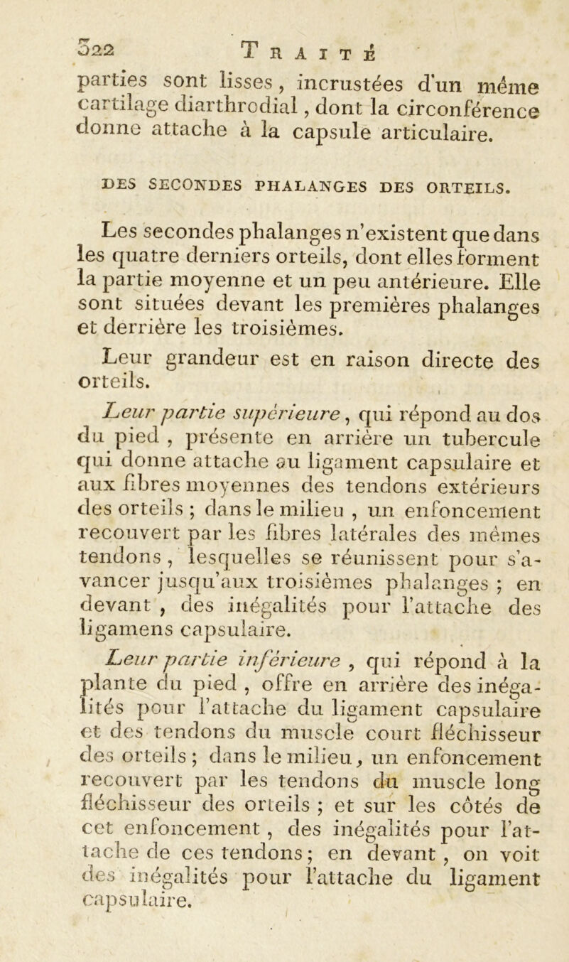 parties sont lisses, incrustées d un meme cartilage diarthrcdial, dont la circonférence donne attache à la capsule articulaire. DES SECOINÎDES PHALANGES DES ORTEILS. Les secondes phalanges n’existent que dans les quatre derniers orteils, dont elles forment la partie moyenne et un peu antérieure. Elle sont situées devant les premières phalanges et derrière les troisièmes. Leur grandeur est en raison directe des orteils. I Leur partie supérieure, qui répond au dos du pied , présente en arrière un tubercule qui donne attache au ligament capsulaire et aux fibres moyennes des tendons extérieurs des orteils ; dans le milieu , un enfoncement recouvert par les fibres latérales des mêmes tendons , lesquelles se réunissent pour s’a- vancer jusqu’aux troisièmes phalanges ; en devant , des inégalités pour l’attache des ligamens capsulaire. Leur partie inférieure , qui répond à la plante du pied , offre en arriére des inéga- lités pour l’attache du ligament capsulaire et des tendons du muscle court fléchisseur des orteils ; dans le milieu ^ un enfoncement recouvert par les tendons du muscle long fléchisseur des orteils ; et sur les côtés de cet enfoncement , des inégalités pour l’at- tache de ces tendons ; en devant , on voit des inégalités pour l’attache du ligament capsulaire. I