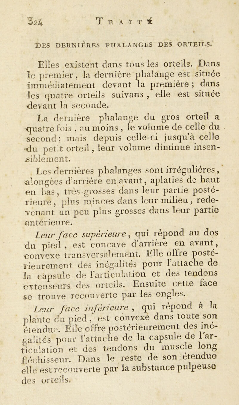 3p.4 T K A ï T *£ DES DERNIERES EHALANGES DES ORTEILS/ Elles existent dans tous les orteils. Dans le premier , la dernière phalange est située immédiatement devant la première ; dans les (juatre orteils siiivans , elle est située devant la seconde. La dernière phalange du gros orteil a <]uatre fois , au moins , le volume de celle du second; mais depuis celle-ci jusqu à celle du petit orteil, leur volume diminue insen- .sihiement. Les dernières phalanges sont irrégulières, alongèes d’arrière en avant, aplaties de haut en bas, très-grosses dans leur partie posté- rieure, plus ininces dans leur milieu, rede- venant un peu plus grosses dans leur partie antérieure. Leur face supérieure ^ qui répond au dos du pied , est concave d’arrière en avant, convexe transversalement. Elle offre posté- rieurement des inégalités pour 1 attache de la capsule de l’articulation et des tendons eij tenseurs des orteils. Ensuite cette face se trouve recouverte par les ongles. Leur face inférieure , qui répond à la plante du pied,-est convexé dans toute son étendue. Elle offre postérieurement des iné- galités pour l’attache de la capsule de 1 ar- ticulation et des tendons du muscle long .nc'chisseur. Dans le reste de son étendue elle est recouverte par la substance pulpeuse des orteils.