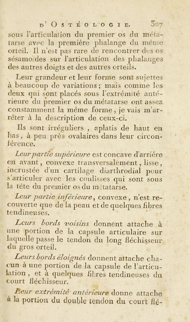 sous rarticiîlaîion du premier os du méta- tarse avec la première phalange du même orteil. Il n’est pas rare de rencontrer des os sésamoMes sur rarticiilation des phalanges des autres doigts et des autres orteils. Leur grandeur et leur forme sont sujettes à beaucoup de variations mais comme les deux qui sont placés sous l’extrémité anté- rieure du premier os du métatarse ont assez constamment la même forme , je vais m’ar- rêter à Ja description de ceux-ci. Ils sont irréguliers , aplatis de haut en bas 5 à peu prés ovalaires dans leur circon- lérence. Leur partie supérieure est concave d’arrière en avant, convexe transversalement, lisse, incrustée d’un cartilage diarthrodial pour s articuler avec les coulisses qui sont sous la tête du premier os du métatarse. Leur partie inférieure, convexe , n’est re- couverte que de la peau et de quelques fibres tendineuses. Leurs bords 'voisins donnent attache à une portion de la capsule articulaire sur laquelle passe le tendon du long fléchisseur du gros orteil. Leurs bords éloignés donnent attache cha- cun à une portion de la capsule de l’articu- lation , et à quelques libres tendineuses du court iiéchisseur. Leur extrémité antérieure donne attache à la portion du double tendon du court fié-