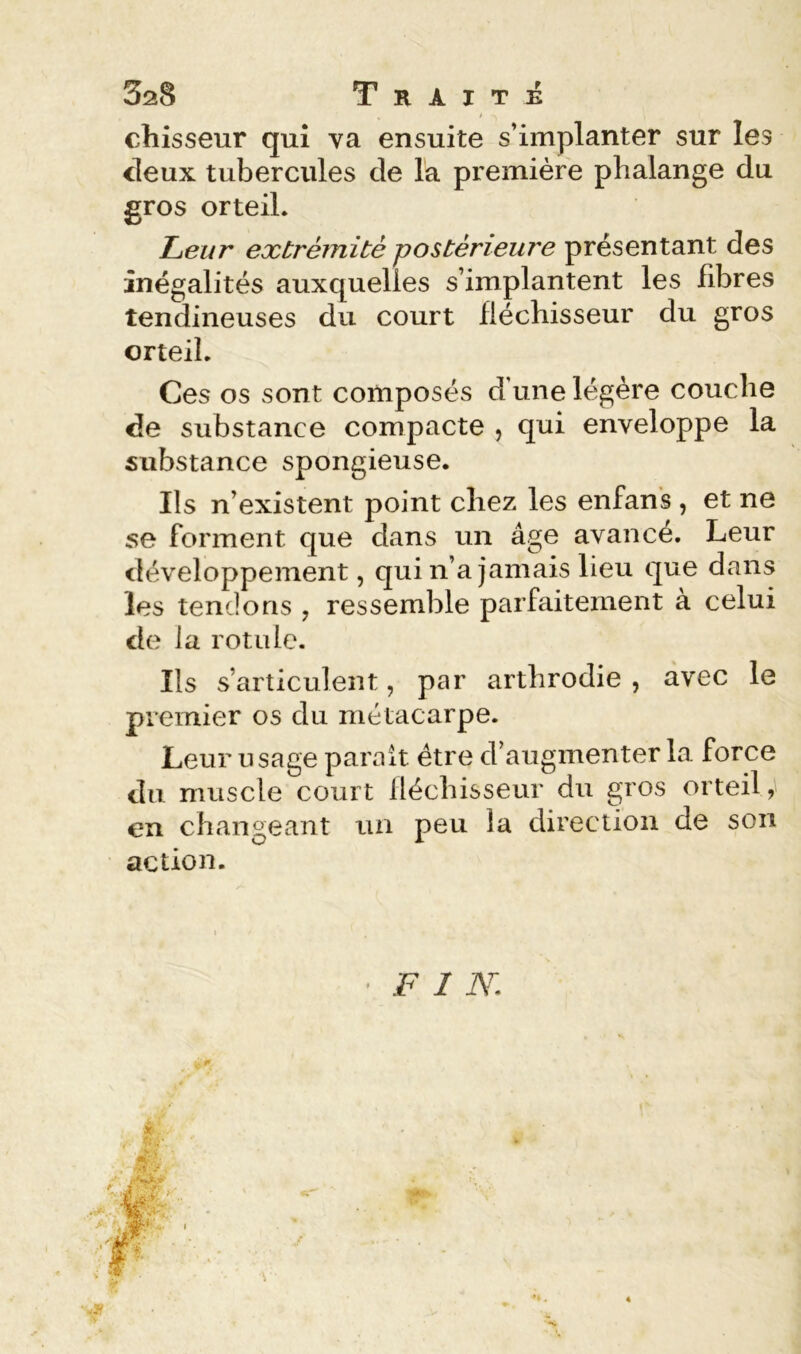 t chisseur qui va ensuite s’implanter sur les deux tubercules de la première phalange du gros orteil. Leur extrémité postérieure présentant des inégalités auxquelles s’implantent les fibres tendineuses du court fléchisseur du gros orteil. Ces os sont composés d’une légère couche de substance compacte , qui enveloppe la substance spongieuse. Ils n’existent point chez les enfans , et ne se forment que dans un âge avancé. Leur développement, qui n’a jamais lieu que dans les tendons , ressemble parfaitement a celui de la rotule. Ils s’articulent, par arthrodie , avec le premier os du métacarpe. Leur usage parait être d’augmenter la force du muscle court lléchisseur du gros orteil, en changeant un peu la direction de son action. ' FIN. P «