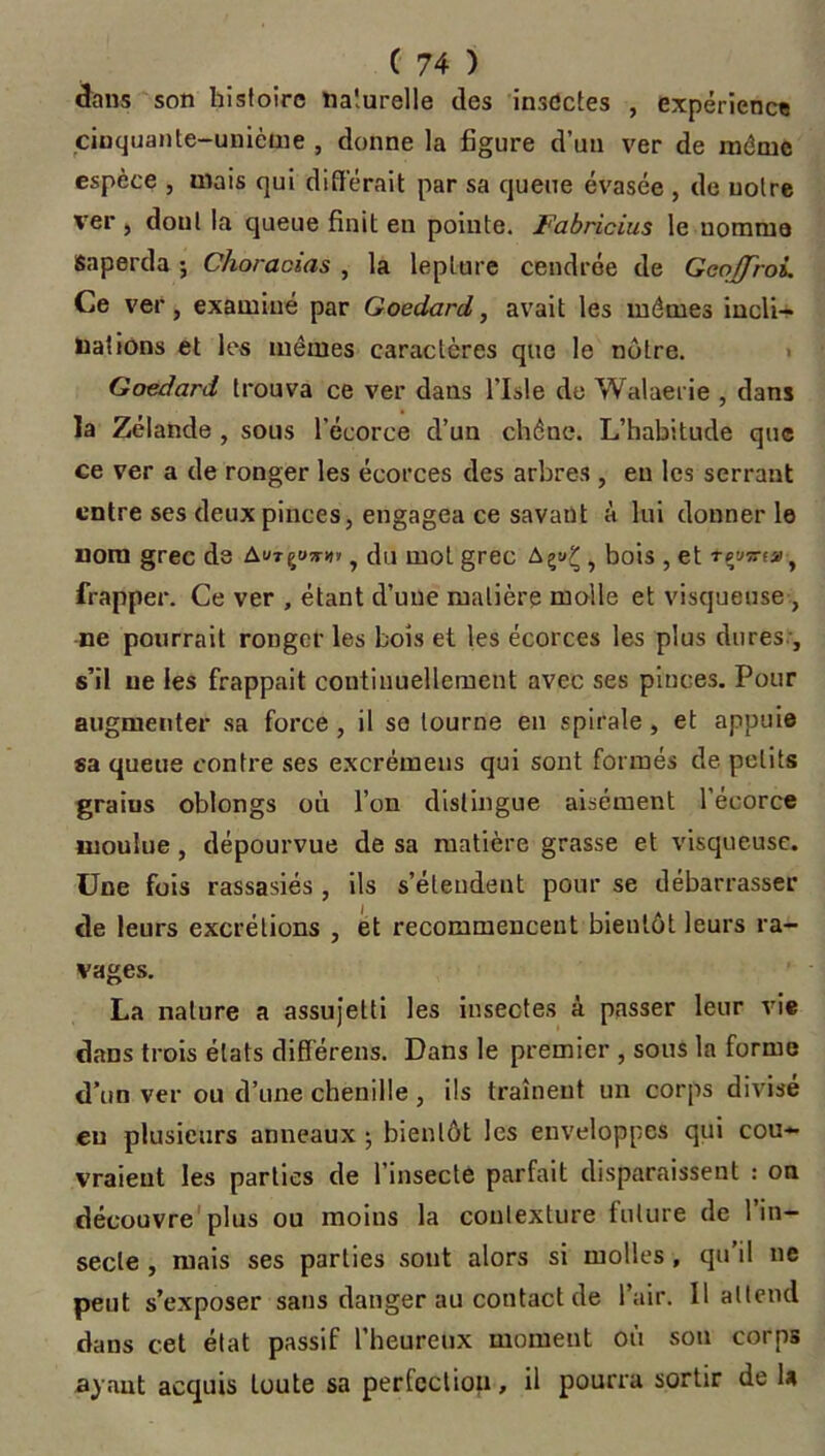 dans son histoire naturelle des insectes , expérience chiqua»le-unième , donne la figure d’un ver de même espèce , mais qui différait par sa queue évasée , de notre ver j dont la queue finit en pointe. Fabricius le nomme Saperda ; Choracias , la leplure cendrée de Gaojfroi. Ce ver, examiné par Goedard, avait les mêmes incli- nations et les mêmes caractères que le notre. Goedard trouva ce ver dans l’Isle de Walaerie , dans la Zélande , sous l'écorce d’un chêne. L’habitude que ce ver a de ronger les écorces des arbres , eu les serrant entre ses deux pinces, engagea ce savant à lui donner le nom grec ds Autçut»» ? du mot grec , bois , et rwff, frapper. Ce ver , étant d’une matière molle et visqueuse , ne pourrait ronger les bois et les écorces les plus dures , s’il ne les frappait continuellement avec ses pinces. Pour augmenter sa force , il se tourne en spirale, et appuie sa queue contre ses excrémeus qui sont formés de. petits graius oblongs où l’on distingue aisément l'écorce moulue , dépourvue de sa matière grasse et visqueuse. Une fois rassasiés , ils s’étendent pour se débarrasser de leurs excrétions , et recommencent bientôt leurs ra- vages. La nature a assujetti les insectes à passer leur vie dans trois états difiérens. Dans le premier , sous la forme d’un ver ou d’une chenille, ils traînent un corps divisé eu plusieurs anneaux ; bientôt les enveloppes qui cou- vraient les parties de l’insecte parfait disparaissent : on découvre plus ou moins la contexture future de 1 in- secte , mais ses parties sont alors si molles , qu il ne peut s’exposer sans danger au contact de l’air. Il attend dans cet état passif l’heureux moment où sou corps ayant acquis toute sa perfection, il pourra sortir de U