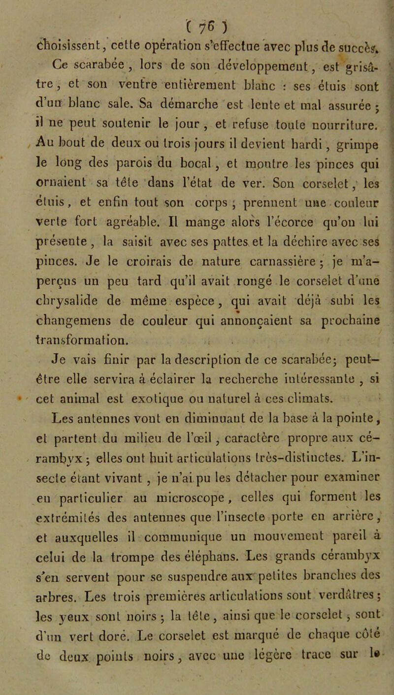 Choisissent, cette opération s’effectue avec plus de succès» Ce scarabée , lors de son développement, est grisâ- tre , et son ventre entièrement blanc : ses étuis sont d’un blanc sale. Sa démarche est lente et mal assurée ; il ne peut soutenir le jour , et refuse toute nourriture. Au bout de deux ou trois jours il devient hardi, grimpe le long des parois du bocal, et montre les pinces qui ornaient sa tête dans l’état de ver. Son corselet, les étuis, et enfin tout son corps; prennent une couleur verte fort agréable. Il mange alors l’écorce qu’on lui présente , la saisit avec ses pattes et la déchire avec ses pinces. Je le croirais de nature carnassière; je m’a- perçus un peu tard qu’il avait rongé le corselet d’une chrysalide de même espèce, qui avait déjà subi les changemens de couleur qui annonçaient sa prochaine transformation. Je vais finir par la description de ce scarabée; peut- être elle servira à éclairer la recherche intéressante , si cet animal est exotique ou naturel à ces climats. Les antennes vout en diminuant de la base à la pointe, et partent du milieu de l’œil , caractère propre aux cé- rambvx ; elles ont huit articulations très-distinctes. L’in- secte étant vivant , je n’ai pu les détacher pour examiner eu particulier au microscope, celles qui forment les extrémités des antennes que l’insecte porte en arrière, et auxquelles il communique un mouvement pareil à celui de la trompe des éléphans. Les grands cérambyx s’en servent pour se suspendre aux petites branches des arbres. Les trois premières articulations sont verdâtres; les yeux sont noirs ; la tête, ainsi que le corselet, sont d’un verL doré. Le corselet est marqué de chaque côté de deux points noirs, avec une légère trace sur 1#