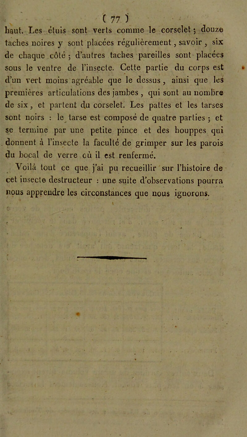 haut. Les étuis sont verts comme le corselet ; douze taches noires y sont placées régulièrement, savoir , six de chaque côté ; d’autres taches pareilles sont placées sous le ventre de l’insecte. Celte partie du corps est d’un vert moius agréable que le dessus , ainsi que les premières articulations des jambes , qui sont au nombre de six, et partent du corselet. Les pattes et les tarses sont noirs : le tarse est composé de quatre parties ; et se termine par une petite pince et des houppes qui donnent à l’insecte la faculté de grimper sur les parois du bocal de verre où il est renfermé. Voilà tout ce que j’ai pu recueillir sur l’histoire de cet insecte destructeur : une suite d’observations pourra nous apprendre les circonstances que nous ignorons.