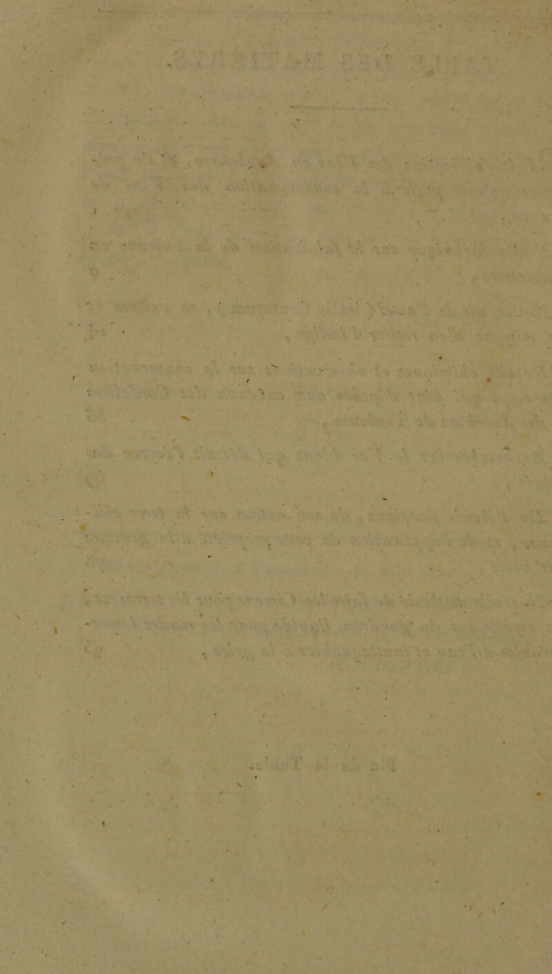 V . 4 , - ■- ' \<<i ■ / • ■ • . ■ I ' • . 4 I . * * • • • \». • ' ' \ ' • • 1 \ - . ■ • ' • . - • (► “4 J