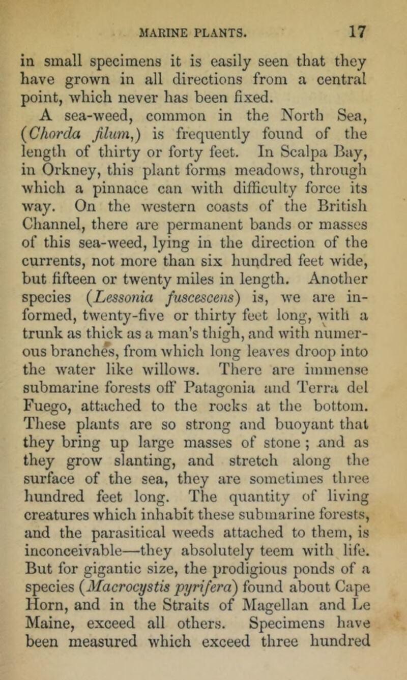 in small specimens it is easily seen that they have grown in all directions from a central point, which never has been fixed. A sea-weed, common in the North Sea, {Chorda Jiliim,) is frequently found of the length of thirty or forty feet. In Scalpa Bay, in Orkney, this plant forms meadows, through which a pinnace can with difficidty force its way. On the western coasts of the British Channel, there are permanent bands or masses of this sea-weed, lying in the direction of the currents, not more than six hundred feet wide, but fifteen or twenty miles in length. Another species {Lessonia fuscesceiis) is, we are in- formed, twenty-five or thirty feet long, with a trunk as thick as a man’s thigh, and with numer- ous branches, from which long leaves droop into the water like willows. There are immense submarine forests off Patagonia and Terra del Fuego, atbiched to the rocks at the bottom. These plants are so strong and buoyant that they bring up large masses of stone; and as they grow slanting, and stretch along the surface of the sea, they are sometimes three hundred feet long. The quantity of living creatures which inhabit these submarine forests, and the parasitical weeds attached to them, is inconceivable—they absolutely teem with life. But for gigantic size, the prodigious ponds of a species (Macrocystis pyrifera) found about Cape Horn, and in the Straits of INIagellan and Le Maine, exceed all others. Specimens have been measured which exceed three hundred