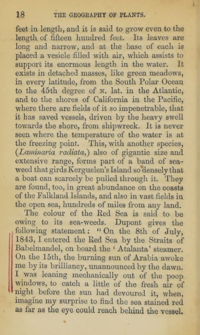 feet in length, and it is said to grow even to the length of fifteen hundred feet. Its leaves are long and narrow, and at the base of each is placed a vesicle filled with air, which assists to support its enormous length in the water. It exists in detached masses, like green meadows, in every latitude, from the South Polar Ocean to the 45th degree of N. lat. in the Atlantic, and to the shores of California in the Pacific, where there are fields of it so impenetrable, that it has saved vessels, di-iven by the heavy swell towards the shore, from shipwreck. It is never seen where the temperature of the water is at the freezing point. This, with another species, {Laminai'ia radiata,) also of gigantic size and extensive range, forms part of a band of sea- weed that girds Kerguelen’s Island so'densely that a boat can scarcely be pulled through it. They are found, too, in great abundance on the coasts of the Falkland Islands, and also in vast fields in the open sea, hundreds of miles from any land. The colour of the Eed Sea is said to be owing to its sea-weeds. Dupont gives the following statement: “ On the 8tli of July, 1843,1 entered the Ked Sea by the Straits of Babelmandel, on board the ‘ Atalanta’ steamer. On the 15th, the burning sun of Arabia awoke me by its brilliancy, unannounced by the da^vn. I was leaning mechanically out of the poop windows, to catch a little of the fresh air of * night before the sun had devoured it, when, imagine my surprise to find the sea stained red as far as the eye could reach behind the vesseh