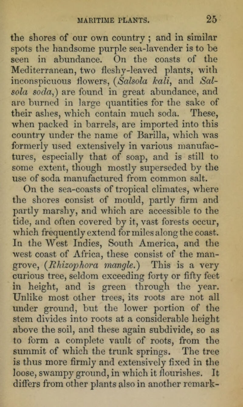 the shores of our own country ; and in simil.Tr spots the handsome purple sea-lavender is to be seen in abundance. On the coasts of the Mediterranean, two fleshy-leaved plants, with inconspicuous flowers, {Salsola kali, and Sal- sola soda,) are found in great abundance, and are burned in large quantities for the sake of their ashes, which contain much soda. These, when packed in barrels, are imported into this country under the name of Barilla, which was formerly used extensively in various manufac- tures, especially that of soap, and is still to some extent, though mostly superseded by the use of soda manufactured from common salt. On the sea-coasts of tropical climates, where the shores consist of mould, partly firm and partly marshy, and which are accessible to the tide, and often covered by it, vast forests occur, which frequently extend for miles along the coast. In the West Indies, South America, and the west coast of Africa, these consist of the man- grove, {Bhizophora mangle.) This is a very curious tree, seldom exceeding forty or fifty feet in height, and is green through the year. Unlike most other trees, its roots are not all under ground, but the lower portion of the stem divides into roots at a considerable height above the soil, and these again subdivide, so as to form a complete vault of roots, from the summit of which the trunk springs. The tree is thus more firmly and extensively fixed in the loose, swampy ground, in which it flourishes. It differs from other plants also in another remark-