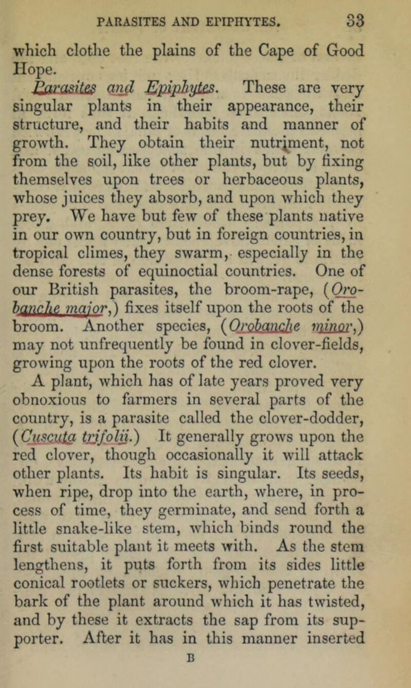 which clothe the plains of the Cape of Good Hope. JlfiraRitps gn^ Epiphyl£S. These are very singular plants in their appearance, their structure, and their habits and manner of growth. They obtain their nutriment, not from the soil, like other plants, but by fixing themselves upon trees or herbaceous plants, whose juices they absorb, and upon which they prey. We have but few of these plants native in our own country, but in foreign countries, in tropical climes, they swarm, especially in the dense forests of equinoctial countries. One of our British parasites, the broom-rape, {Oro- hanc.lie. mnmr.'S fixes itself upon the roots of the broom. Another species, (OrobaiicJie 77iinor,) may not unfrequently be found in clover-fields, growing upon the roots of the red clover. A plant, which has of late years proved very obno.xious to farmers in several parts of the country, is a parasite called the clover-dodder, ( Cgscuja tjj/olii.) It generally grows upon the red clover, though occasionally it will attack other plants. Its habit is singular. Its seeds, when ripe, drop into the earth, where, in pro- ces.s of time, they germinate, and send forth a little snake-like stem, which binds round the first suitable plant it meets with. As the stem lengthens, it puts forth from its sides little conical rootlets or suckers, which penetrate the bark of the plant around Avhich it has twisted, and by these it extracts the sap from its sup- porter. After it has in this manner inserted B