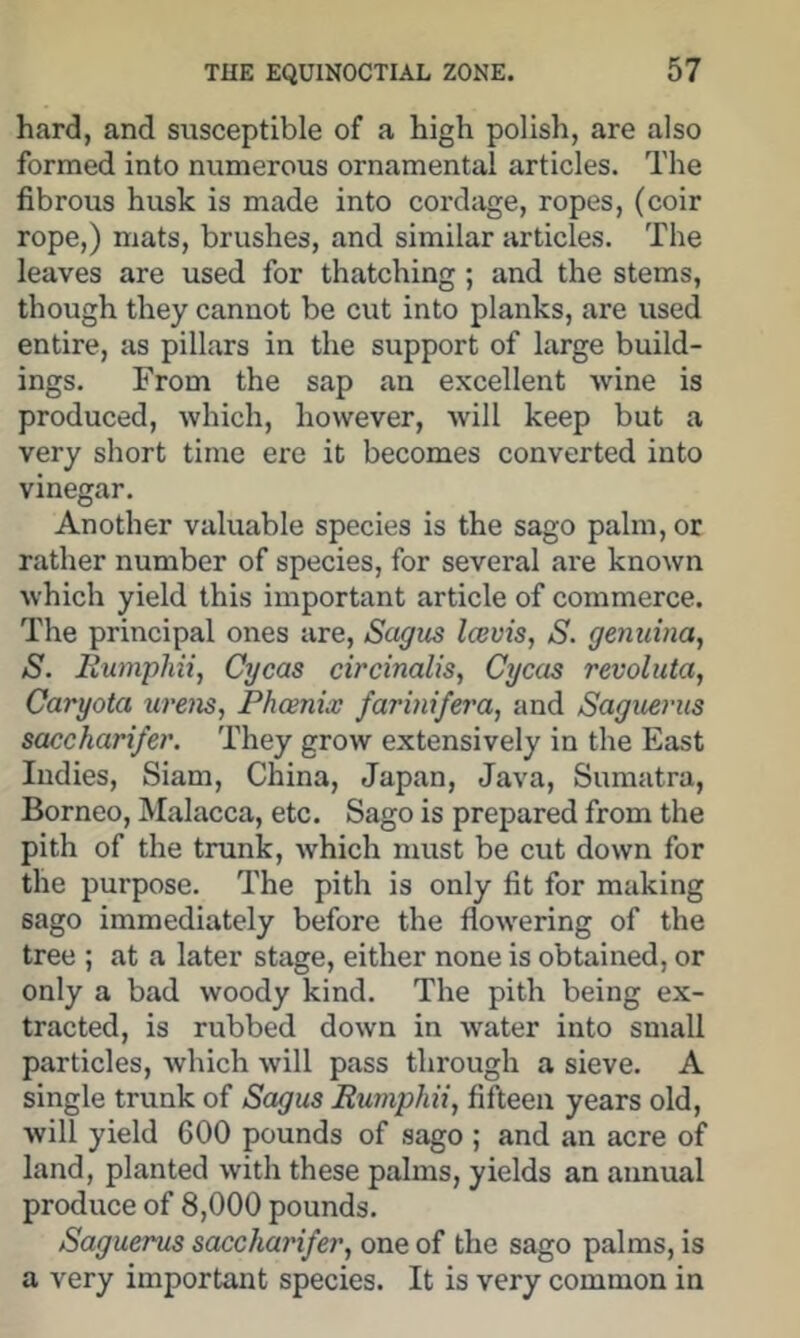 hard, and susceptible of a high polish, are also formed into numerous ornamental articles. The fibrous husk is made into cordage, ropes, (coir rope,) mats, brushes, and similar articles. The leaves are used for thatching ; and the stems, though they cannot be cut into planks, are used entire, as pillars in the support of large build- ings. From the sap an excellent wine is produced, which, however, will keep but a very short time ere it becomes converted into vinegar. Another valuable species is the sago palm, or rather number of species, for several ai'e known which yield this important article of commerce. The principal ones are, Sagus Icevis, S. genidna, S. liumphii, Cycas circinalis, Cycas revoluta, Caryota ureiis, Phoenix farinifera, and Saguerus saccharifer. They grow extensively in the East Indies, Siam, China, Japan, Java, Sumatra, Borneo, Malacca, etc. Sago is prepared from the pith of the trunk, which must be cut down for the purpose. The pith is only fit for making sago immediately before the flowering of the tree ; at a later stage, either none is obtained, or only a bad woody kind. The pith being ex- tracted, is rubbed down in water into small particles, which will pass through a sieve. A single trunk of S(xgus Btirnphii, fifteen years old, will yield 600 pounds of sago ; and an acre of land, planted with these palms, yields an annual produce of 8,000 pounds. Saguerus saccharifer, one of the sago palms, is a very important species. It is very common in