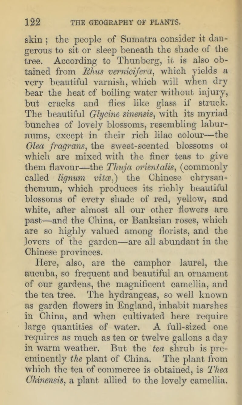 skin ; the people of Sumatra consider it dan- gerous to sit or sleep beneath the shade of the tree. According to Thunberg, ic is also ob- tained from Rhus vernicife>'a^ which yields a very beautiful varnish, which Avill when dry bear the heat of boiling w'ater without injury, but cracks and flies like glass if struck. Tlie beautiful Glycine sinensis, with its myriad bunches of lovely blossoms, resembling labur- nums, except in their rich lilac colour—the Olea fragrans, the sweet-scented blossoms ot which are mixed with the finer teas to give them flavour—the Thuja orientalis, (commonly called lignum vitce,) the Chinese chrysan- themum, which produces its richly beautiful blossoms of every shade of red, yellow, and white, after almost all our other flowers are past—and the China, or Banksian roses, which are so highly valued among florists, and the lovers of the gai’den—are all abundant in the Chinese provinces. Here, also, are the camphor laurel, the aucuba, so frequent and beautiful an ornament of our gardens, the magnificent camellia, and the tea tree. The hydrangeas, so well known as garden flowers in England, inhabit marshes in China, and when cultivated here require large quantities of water, A full-sized one requires as much as ten or twelve gallons a day in warm Aveather. But the tea shrub is pre- eminently the plant of China. The plant from Avhich the tea of commerce is obtained, is Thea Chinensis, a plant allied to the lovely camellia.
