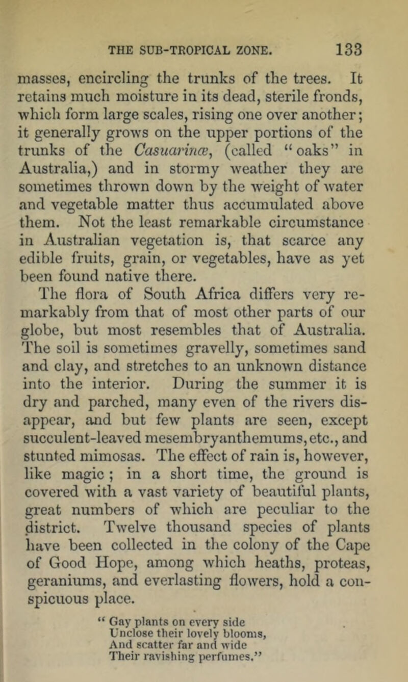masses, encircling the trunks of the trees. It retains much moisture in its dead, sterile fronds, which form large scales, rising one over another; it generally grows on the upper portions of the trunks of the Casuarince, (called “oaks” in Australia,) and in stormy weather they are sometimes thrown down by the weight of water and vegetable matter thus accumulated above them. Not the least remarkable circumstance in Australian vegetation is, that scarce any edible fruits, grain, or vegetables, have as yet been found native there. The flora of South Africa differs very re- markably from that of most other parts of our globe, but most resembles that of Australia. The soil is sometimes gravelly, sometimes sand and clay, and stretches to an unknown distance into the interior. During the summer it is dry and parched, many even of the rivers dis- appear, and but few plants are seen, except succulent-leaved mesembryanthemums,etc., and stunted mimosas. The effect of rain is, however, like magic ; in a short time, the ground is covered with a vast variety of beautiful plants, great numbers of which are peculiar to the district. Twelve thousand species of plants have been collected in the colony of the Cape of Good Hope, among which heaths, proteas, geraniums, and everlasting flowers, hold a con- spicuous place. “ Gay plants on every side Unclose their lovely blooms, And scatter far and wide Their ravishing perfumes.”