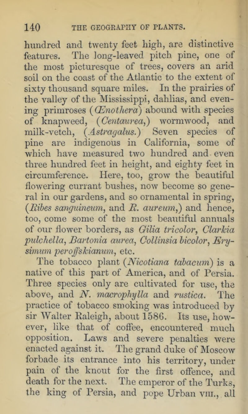 hundred and twenty feet high, are distinctive features. The long-leaved pitch pine, one of the most picturesque of trees, covers an arid soil on the coast of the Atlantic to the extent of sixty thousand square miles. In the prairies of the valley of the Mississippi, dahlias, and even- ing primroses {^CEnotlierd') abound Avith species of knapweed, (Centaurea,) wormwood, and milk-vetch, (Astragalus.) Seven species of pine are indigenous in California, some of Avhich have measured two hundred and even three hundred feet in height, and eighty feet in circumference. Here, too, grow the beautiful flowering currant bushes, now become so gene- ral in our gardens, and so ornamental in spring, (liibes sanguineum, and R. auretim,) and hence, too, come some of the most beautiful annuals of our flower borders, as Gilia tricolor, Clarkia pulchella, Bartonia aurea, Collinsia hicolor, Enj- simuvi peroffskianmn, etc. The tobacco plant (Nicotia7m tabacum) is a native of this part of America, and of Persia. Three species only are cultivated for use, the above, and N. maci'ophylla and mstica. The practice of tobacco smoking was introduced by sir Walter Raleigh, about 158G. Its use, how- ever, like that of coffee, encountered much opposition. Laws and severe penalties were enacted against it. The grand duke of IMoscow forbade its entrance into his territory, under pain of the knout for the first offence, and death for the next. The emperor of the Turks, the king of Persia, and pope Urban viii., all
