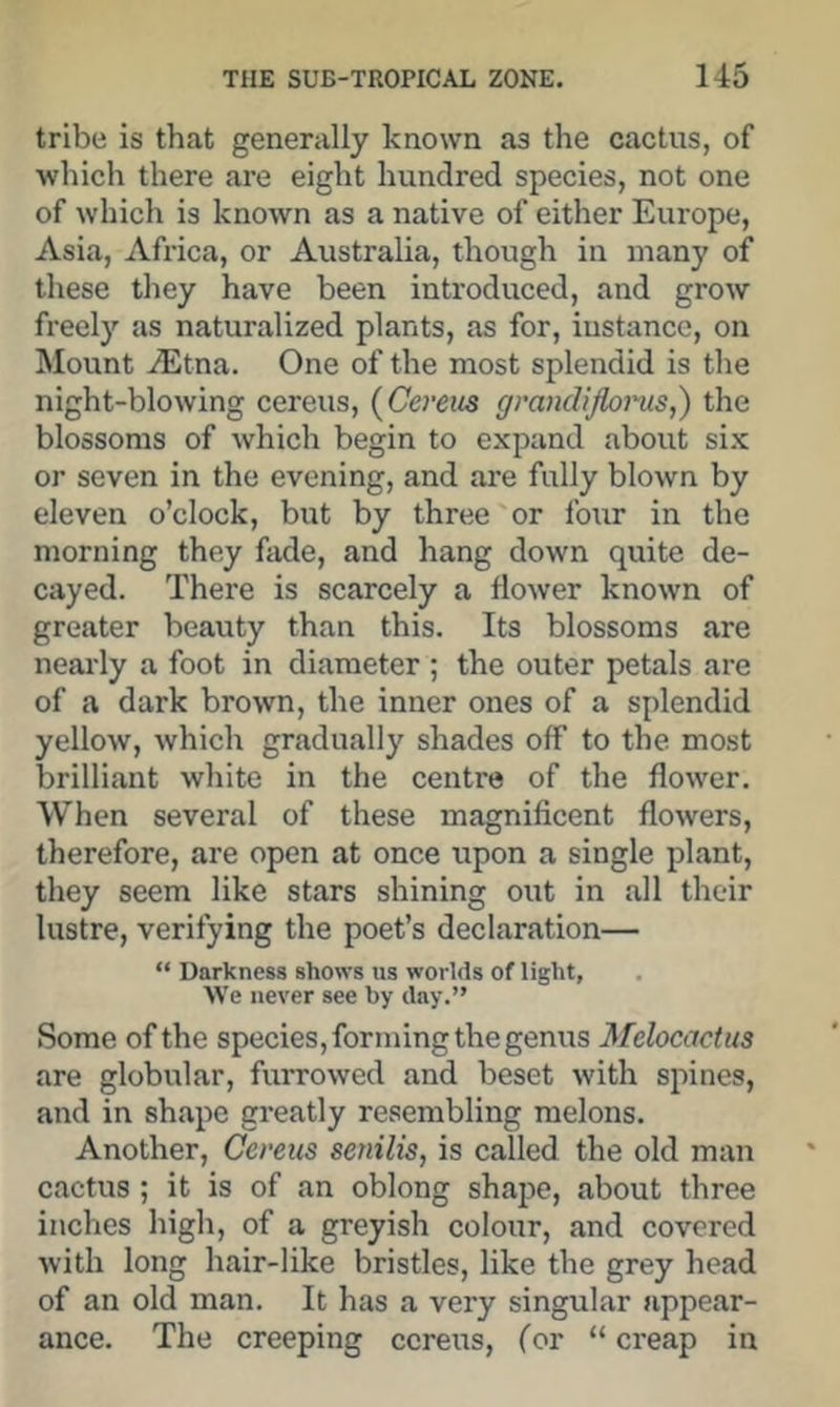 tribe is that generally known as the cactus, of which there are eight hundred species, not one of which is known as a native of either Europe, Asia, Africa, or Australia, though in many of these they have been introduced, and grow freely as naturalized plants, as for, instance, on Mount -(Etna. One of the most splendid is the night-blowing cereus, {Cereits granclijbms,) the blossoms of which begin to expand about six or seven in the evening, and are fully blown by eleven o’clock, but by three or four in the morning they fade, and hang down quite de- cayed. There is scarcely a flower known of greater beauty than this. Its blossoms are nearly a foot in diameter ; the outer petals are of a dark brown, the inner ones of a splendid yellow, which gradually shades off to the most brilliant white in the centre of the flower. When several of these magnificent flowers, therefore, are open at once upon a single plant, they seem like stars shining out in all their lustre, verifying the poet’s declaration— “ Darkness shows us worlds of light, We never see by day.” Some of the species, forming the genus Melocactus are globular, furrowed and beset with spines, and in shape greatly resembling melons. Another, Cereus senilis, is called the old man cactus ; it is of an oblong shajie, about three inches high, of a greyish colour, and covered with long hair-like bristles, like the grey head of an old man. It has a very singular appear- ance. The creeping cereus, for “ creap in
