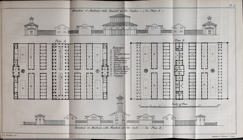 Jileratwn of Abattoirs itithj JiCarlxF uv tin-' Ccntr'V.— (Serf Platu A.) mm Flan’ A Flan- B. ElerationJ of <Abaitx>iK£ with/’ JMjxrJzets atl tfvz' eeids — ( See. Flare B ). n. 3. A JB . OiUjuJuax. Fel1 MtM/jbJX J WtUuiyum. S° StrviJ