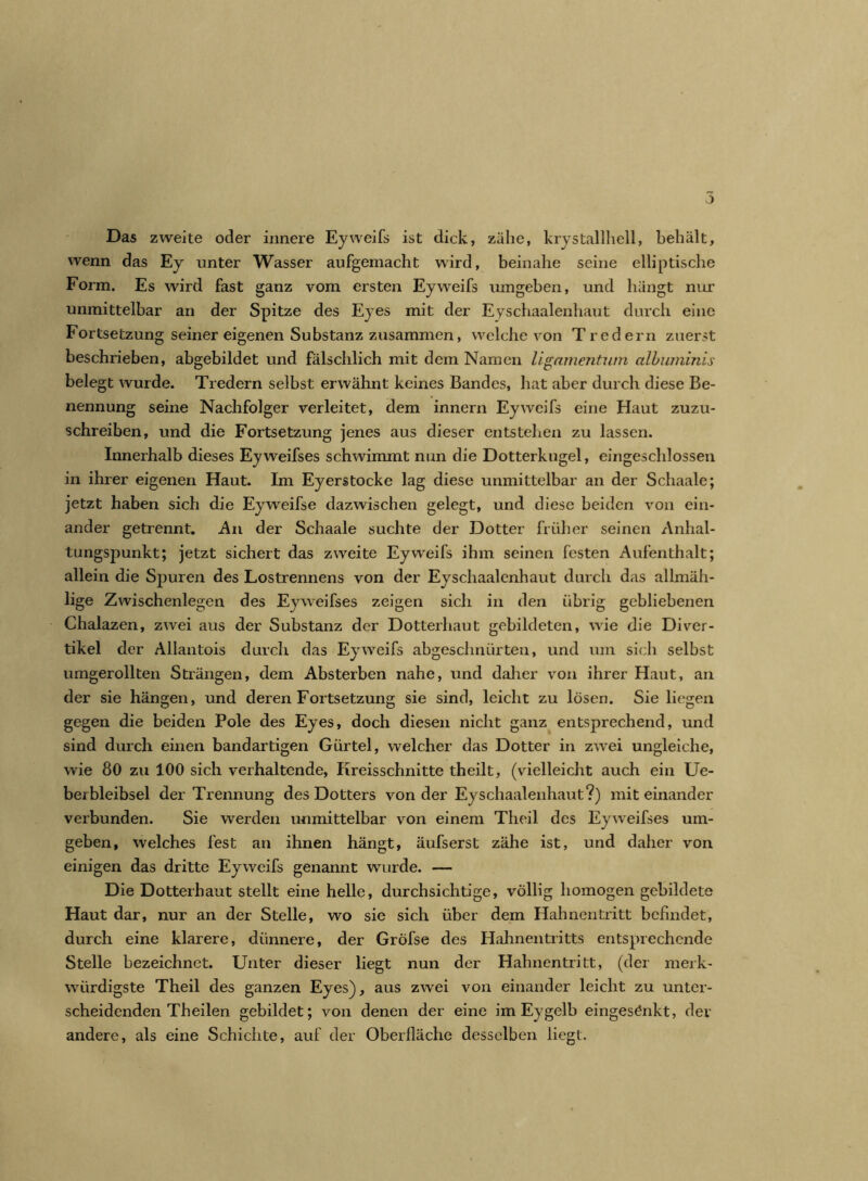 Das zweite oder innere Eyweifs ist dick, zähe, krystallhell, behält, wenn das Ey unter Wasser aufgemacht wird, beinahe seine elliptische Form. Es wird fast ganz vom ersten Eyweifs umgeben, und hängt nur unmittelbar an der Spitze des Eyes mit der Eyschaalenhaut durch eine Fortsetzung seiner eigenen Substanz zusammen, welche von Tredern zuerst beschrieben, abgebildet und fälschlich mit dem Namen ligamentum albuminis belegt wurde. Tredern selbst erwähnt keines Bandes, hat aber durch diese Be- nennung seine Nachfolger verleitet, dem innern Eyweifs eine Haut zuzu- schreiben, und die Fortsetzung jenes aus dieser entstehen zu lassen. Innerhalb dieses Eyweifses schwimmt nun die Dotterkugel, eingeschlossen in ihrer eigenen Haut. Im Eyerstocke lag diese unmittelbar an der Schaale; jetzt haben sich die Eyweifse dazwischen gelegt, und diese beiden von ein- ander getrennt. An der Schaale suchte der Dotter früher seinen Anhal- tungspunkt; jetzt sichert das zweite Eyweifs ihm seinen festen Aufenthalt; allein die Spuren des Lostrennens von der Eyschaalenhaut durch das allmäh- lige Zwischenlegen des Eyweifses zeigen sich in den übrig gebliebenen Chalazen, zwei aus der Substanz der Dotterhaut gebildeten, wie die Diver- tikel der Allantois durch das Eyweifs abgeschnürten, und um sich selbst umgerollten Strängen, dem Absterben nahe, und daher von ihrer Haut, an der sie hängen, und deren Fortsetzung sie sind, leicht zu lösen. Sie liegen gegen die beiden Pole des Eyes, doch diesen nicht ganz entsprechend, und sind durch einen bandartigen Gürtel, welcher das Dotter in zwei ungleiche, wie 80 zu 100 sich verhaltende, Kreisschnitte theilt, (vielleicht auch ein Ue- beibleibsel der Trennung des Dotters von der Eyschaalenhaut?) mit einander verbunden. Sie werden unmittelbar von einem Theil des Eyweifses um- geben, welches fest an ihnen hängt, äufserst zähe ist, und daher von einigen das dritte Eyweifs genannt wurde. — Die Dotterhaut stellt eine helle, durchsichtige, völlig homogen gebildete Haut dar, nur an der Stelle, wo sie sich über dem Hahnentritt befindet, durch eine klarere, dünnere, der Gröfse des Hahnentritts entsprechende Stelle bezeichnet. Unter dieser liegt nun der Hahnentritt, (der merk- würdigste Theil des ganzen Eyes), aus zwei von einander leicht zu unter- scheidenden Th eilen gebildet; von denen der eine im Eygelb eingesönkt, der andere, als eine Schichte, auf der Oberfläche desselben liegt.