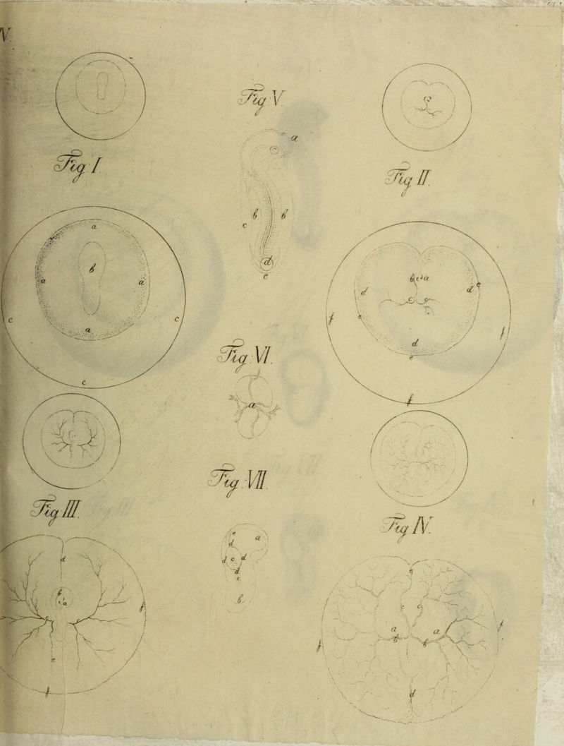 e STicfVI sfr.jf '■/ a W j %// o