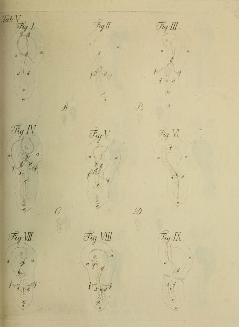 lab r 9%a i «H a; i dk d a fA. 'j *, Jr ;;V . ‘‘V a W\ c