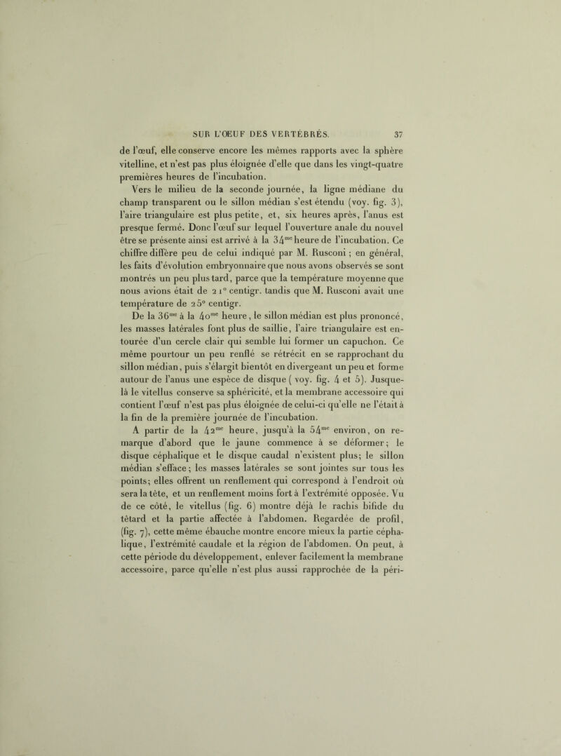 de l’œuf, elle conserve encore les mêmes rapports avec la sphère vitelline, et n’est pas plus éloignée d’elle que dans les vingt-quatre premières heures de l’incubation. Vers le milieu de la seconde journée, la ligne médiane du champ transparent ou le sillon médian s’est étendu (voy. fig. 3), l’aire triangulaire est plus petite, et, six heures après, l’anus est presque fermé. Donc l’œuf sur lequel l’ouverture anale du nouvel être se présente ainsi est arrivé à la SA® heure de l’incubation. Ce chiffre diffère peu de celui indiqué par M. Rusconi ; en général, les faits d’évolution embryonnaire que nous avons observés se sont montrés un peu plus tard, parce que la température moyenne que nous avions était de 2 i centigr. tandis que M. Rusconi avait une température de 26° centigr. De la 36“'“ à la 4o'“® heure, le sillon médian est plus prononcé, les masses latérales font plus de saillie, faire triangulaire est en- tourée d’un cercle clair qui semble lui former un capuchon. Ce même pourtour un peu renflé se rétrécit en se rapprochant du sillon médian, puis s’élargit bientôt en divergeant un peu et forme autour de fanus une espèce de disque ( voy. fig. 4 et 5). Jusque- là le vitellus conserve sa sphéricité, et la membrane accessoire qui contient f œuf n’est pas plus éloignée de celui-ci quelle ne fêtait à la fin de la première journée de fincubation. A partir de la As'® heure, jusqu’à la 54“® environ, on re- marque d’abord que le jaune commence à se déformer ; le disque céphalique et le disque caudal n’existent plus; le sillon médian s’efface ; les masses latérales se sont jointes sur tous les points; elles offrent un renflement qui correspond à l’endroit où sera la tête, et un renflement moins fort à l’extrémité opposée. Vu de ce côté, le vitellus (fig. 6) montre déjà le rachis bifide du têtard et la partie affectée à f abdomen. Regardée de profil, (fig. 7), cette même ébauche montre encore mieux la partie cépha- lique, f extrémité caudale et la région de f abdomen. On peut, à cette période du développement, enlever facilement la membrane accessoire, parce quelle n’est plus aussi rapprochée de la péri-