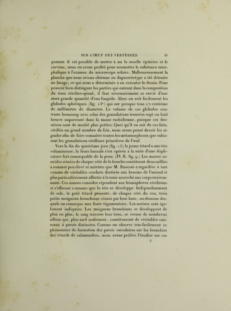 pemenl il est possible de mettre à nu la moelle épinière et le cerveau, nous en avons profité pour soumettre la substance encé- phalique à l’examen du microscope solaire. Malheureusement la planche que nous avions obtenue au daguerréotype a été détruite au lavage, ce qui nous a déterminés à en exécuter le dessin. Pour pouvoir bien distinguer les parties qui entrent dans la composition du tissu cérébro-spinal, il faut nécessairement se servir d’une assez grande quantité d’eau limpide. Alors on voit facilement les globules sphériques (fig. i3®) qui ont presque tous 1/2 centième de millimètre de diamètre. Le volume de ces globules con- traste beaucoup avec celui des granulations trouvées sept ou huit heures auparavant dans la masse rachidienne, puisque ces der- nières sont de moitié plus petites. Quoi qu’il en soit de ces faits, vérifiés un grand nombre de fois, nous avons pensé devoir les si- gnaler afin de faire connaître toutes les métamorphoses que subis- sent les granulations vitellines primitives de l’œuf. Vers la fin du quatrième jour (fig. 1 5) le jeune têtard a une tête volumineuse, la fente buccale s’est opérée à la suite d’une dupli- cature fort remarquable de la peau. (PI. II, fig. 9.) Les masses co- lloïdes situées de chaque côté de la bouche constituent deux saillies à sommet peu élevé et noirâtre que M. Rusconi a regardées à tort comme de véritables crochets destinés aux besoins de l’animal et plus particulièrement affectés à le tenir accroché aux corps environ- nants. Ces masses conoïdes répondent aux hémisphères cérébraux et s’effacent à mesure que la tête se développe. Indépendamment de cela, le petit têtard présente, de chaque côté du cou, trois petits moignons branchiaux réunis parleur base, au-dessous des- quels on remarque une fente tégumentaire. Les narines sont éga- lement indiquées. Les moignons branchiaux se développent de plus en plus, le sang traverse leur tissu, se creuse de nombreux sillons qui, plus tard seulement, constitueront de véritables vais- seaux à parois distinctes. Comme on observe très-facilement ce phénomène de formation des parois vasculaires sur les branchies des têtards de salamandres, nous avons préféré l’étudier sur ces