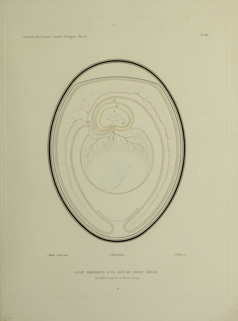 0' Acadenuc des Sciences. Savants l'dran^’crs. Tom XI. n.xiv Mariw S'Àrufe /ft/u. A. /{r/tioruf f/rif» J. P sr I ori’i'. TiiKoiiioi !•; irr.x (F,ri' di'. rori.i'', (;iu).^si. (Par M.M.Eaudiimrnt et. Martin SIAnge.'