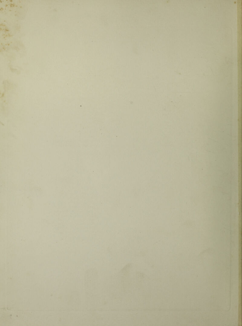 “^v ,:Jf'. im ■'^ •4- î’tf ■’v'^-it'f^ > A'ii: • , ‘ ; V.’**î'» i. :\\^LL.,a;>\'(f^i:’ .f', ,i(rr^ ■ ▼- '■•;=^'^'''•■-‘:tr .'■ ■'.' ,'■ -.> •■ * '■j''.4l‘' 'ï-. >>i'^‘, . . ’f Vf'..'.,■■■ ' ' ■</: 'i^'♦JO,' t •i-» ■ 'rittiM'v/S'y ■ •''/•*.■• • i -, ■^- ' .'f ■‘v ■. V ■■ i C • ', ’ :'■ iiJf; • ' > - ’• ^» i . •; ' '.'fr ■,:> ’ü ■' i'j •■■ ■■^•' •''”, ■ -/'vi; . i ~‘^jL *'ii U '.■ iv«.’* ■ ' < ' I . 1 . ^ '.■ ^V#.’* ■ ' < ' •' ■ l ‘ ■■'il ■ . ' 'i '^Î' • Vl ’ i >*, •- f , 'V' ‘Vj %v, ■.V^;v‘'-W { • ' ..V-''-i‘ ,^.'; » îi ' i * ' .. t ■*. I Ai •i-i:;'. • -■ ■• ;■ -■ '•• V/loM - ■''■'■■ r^#«^= ■•-■ -Æf \ \ -r- >«.»-. «ft ' ^ t KKa< ' ■ ■ ■' - . - ''*■ ''n'mm .'^V- -JMi .-F. ■ -, ’'' t-'î ' ..-I ... . .1 -’ s *' , -':.^t. V,|,’^ ♦ I ’» ■' ■ F'-'F , . , . .v*)! * ' ' tf ** • *^**l •îf'i i ■* ~^-îii '.- -•>/ .. 1 U « ;... . '' '4, ■ . .. .. . -ijAii- .‘ffiÿv • ■ L r-F: ^ 'Îl^-*‘C' .^' •—* -'*-Æ- .... S.^ Tl- .jî'-.■,;■■ »>■. -..' ■ ■'•* 'I ■ ■' •- ‘ ■■ ‘.s •' ■>>•'^31