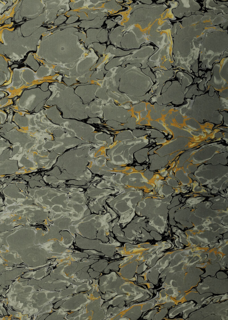 No text description is available for this image