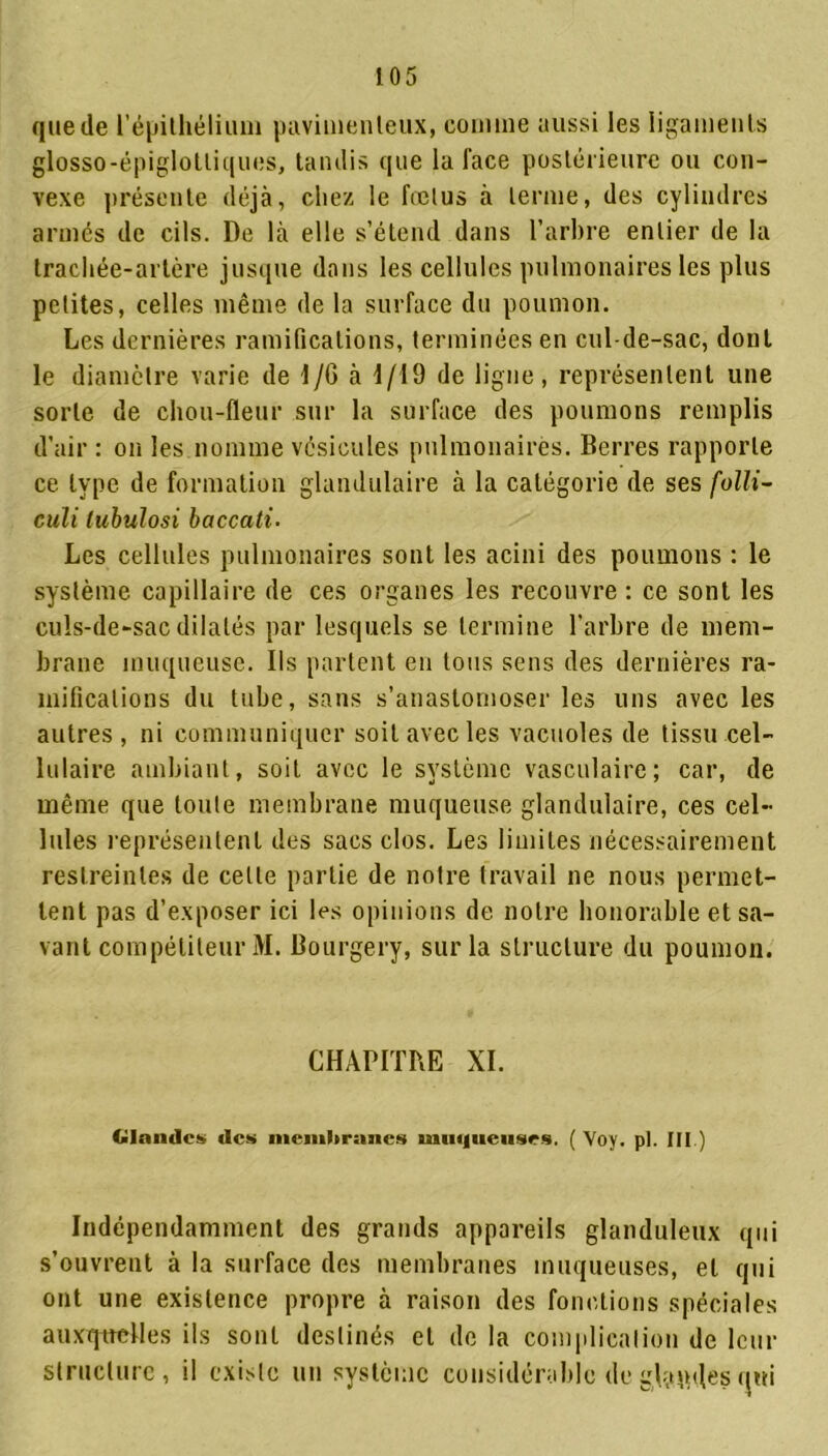 quede l’épithélium pavimenleux, comme aussi les ligaments glosso-épiglotliques, tandis que la face postérieure ou con- vexe présente déjà, chez le fœtus à terme, des cylindres armés de cils. De là elle s’étend dans l’arbre entier de la trachée-artère jusque dans les cellules pulmonaires les plus petites, celles même de la surface du poumon. Les dernières ramifications, terminées en cul-de-sac, dont le diamètre varie de 1/6 à 1/19 de ligne, représentent une sorte de chou-fleur sur la surface des poumons remplis d’air : on les nomme vésicules pulmonaires. Berres rapporte ce type de formation glandulaire à la catégorie de ses folli- culi lubulosi baccati. Les cellules pulmonaires sont les acini des poumons : le système capillaire de ces organes les recouvre : ce sont les culs-de-sac dilatés par lesquels se termine l’arbre de mem- brane muqueuse. Ils partent en tous sens des dernières ra- mifications du tube, sans s’anastomoser les uns avec les autres, ni communiquer soit avec les vacuoles de tissu cel- lulaire ambiant, soit avec le système vasculaire; car, de même que toute membrane muqueuse glandulaire, ces cel- lules représentent des sacs clos. Les limites nécessairement restreintes de celle partie de notre travail ne nous permet- tent pas d’exposer ici les opinions de notre honorable et sa- vant compétiteur M. Bourgery, sur la structure du poumon. CHAPITRE XI. (■lande» de» memliranes mu(|iieu»es. ( Voy. pi. III ) Indépendamment des grands appareils glanduleux qui s’ouvrent à la surface des membranes muqueuses, et qui ont une existence propre à raison des fonctions spéciales auxquelles ils sont destinés et de la complication de leur structure, il existe un système considérable de g,Utiles rjui