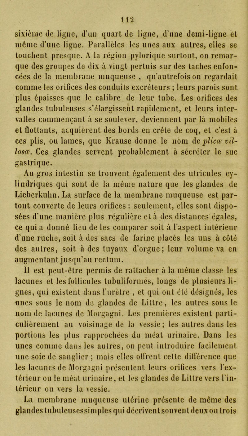 sixième de ligne, d’un quart de ligne, d’une demi-ligne et même d’une ligne. Parallèles les unes aux autres, elles se louchent presque. A la région pylorique surtout, on remar- que des groupes de dix à vingt pertuis sur des taches enfon- cées de la membrane muqueuse , qu’autrefois on regardait comme les orifices des conduits excréteurs ; leurs parois sont plus épaisses que le calibre de leur tube. Les orifices des glandes tubuleuses s’élargissent rapidement, et leurs inter- valles commençant à se soulever, deviennent par là mobiles et flottants, acquièrent des bords en crête de coq, et c’est à ces plis, ou lames, que Krause donne le nom de plicœ vil- losœ. Ces glandes servent probablement à sécréter le suc gastrique. Au gros intestin se trouvent également des ulricules cy- lindriques qui sont de la même nature que les glandes de Lieberkuhn. La surface de la membrane muqueuse est par- tout couverte de leurs orifices : seulement, elles sont dispo- sées d’une manière plus régulière et à des distances égales, ce qui a donné lieu de les comparer soit à l’aspect intérieur d’une ruche, soit à des sacs de farine placés les uns à côté des autres, soit à des tuyaux d’orgue; leur volume va en augmentant jusqu’au rectum. Il est peut-être permis de rattacher à la même classe les lacunes et les follicules tubuliformés, longs de plusieurs li- gnes, qui existent dans l’urètre , et qui ont été désignés, les unes sous le nom de glandes de Littré, les autres sous le nom de lacunes de Morgagni. Les premières existent parti- culièrement au voisinage de la vessie; les autres dans les portions les plus rapprochées du méat urinaire. Dans les unes comme dans les autres, on peut introduire facilement une soie de sanglier ; mais elles offrent celle différence que les lacunes de Morgagni présentent leurs orifices vers l’ex- térieur ou le méat urinaire, et les glandes de Littré vers l’in- térieur ou vers la vessie. La membrane muqueuse utérine présente de même des glandes lubuleusessimples qui décrivent souvent deux ou trois